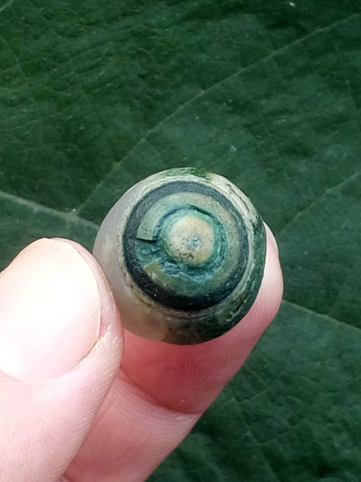 36mm Natural Gobi agate eye agate stone Suiseki-viewing collection china