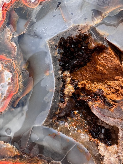 8 1/8”__Beautiful Imperial Kentucky Agate Slab from Estill County