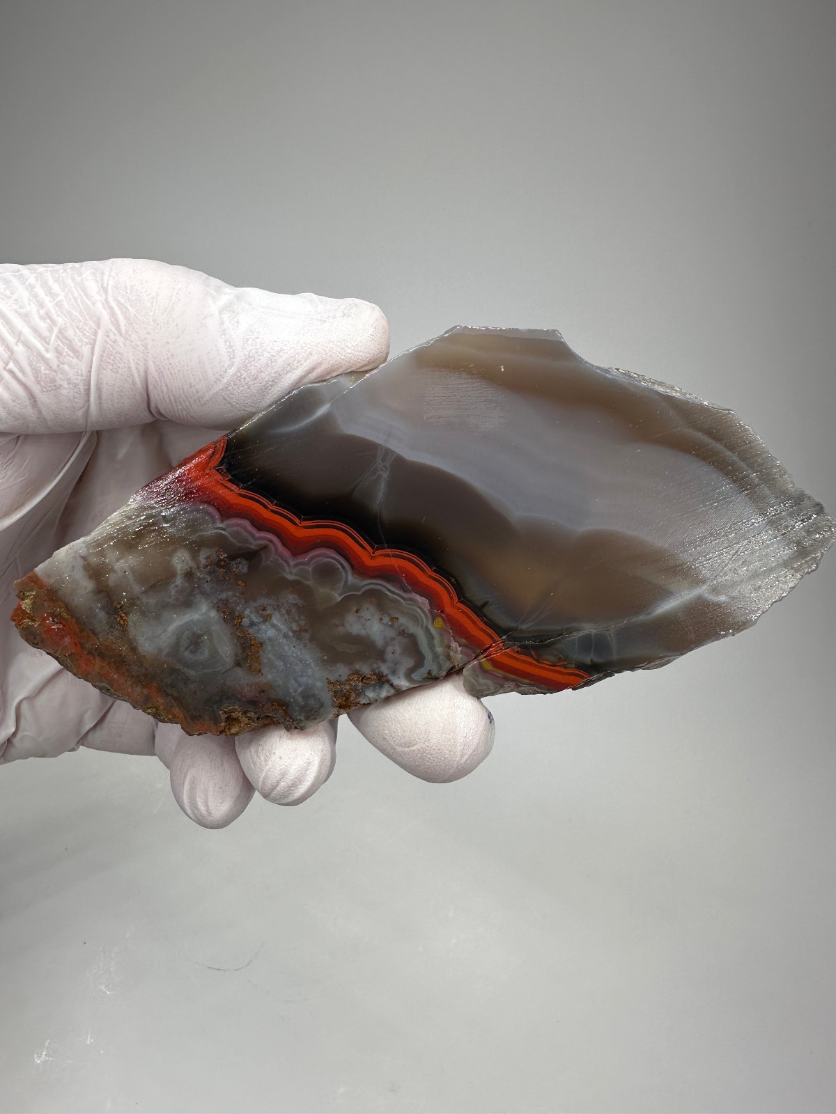 Beautiful Large Kentucky Agate Lapidary Slab from Estill County