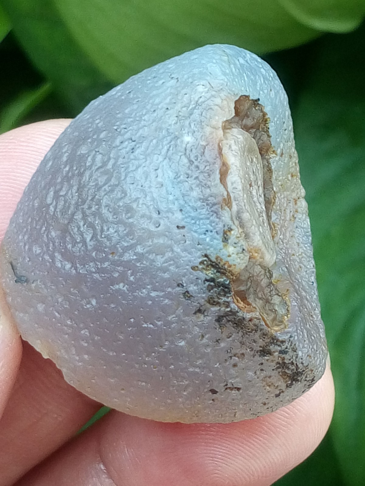36mm Beautiful Natural Gobi agate eye agate stone collection