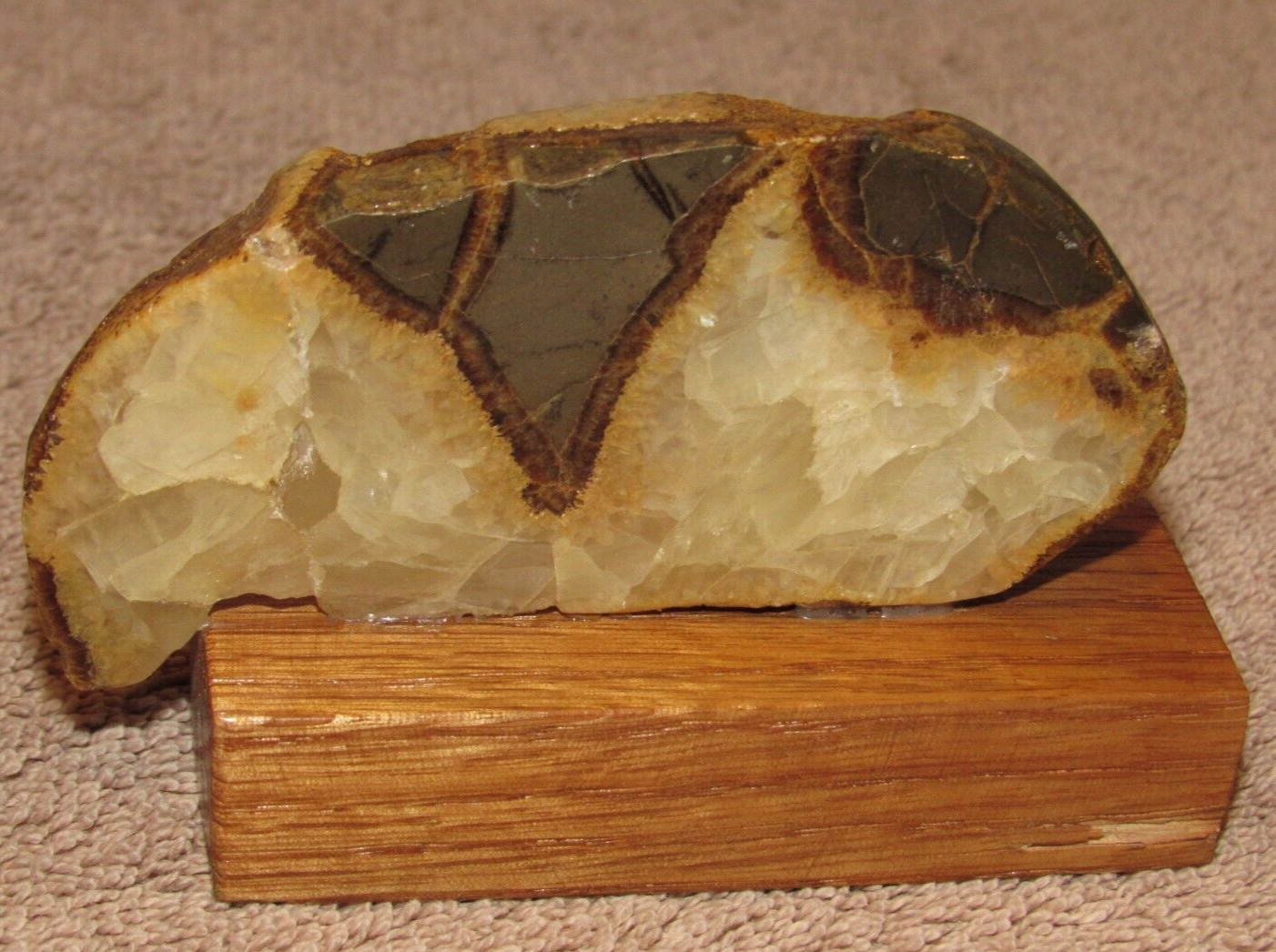Septarian Nodule Mineral Specimen on Wooden Base – Mt. Carmel, Utah UT #2