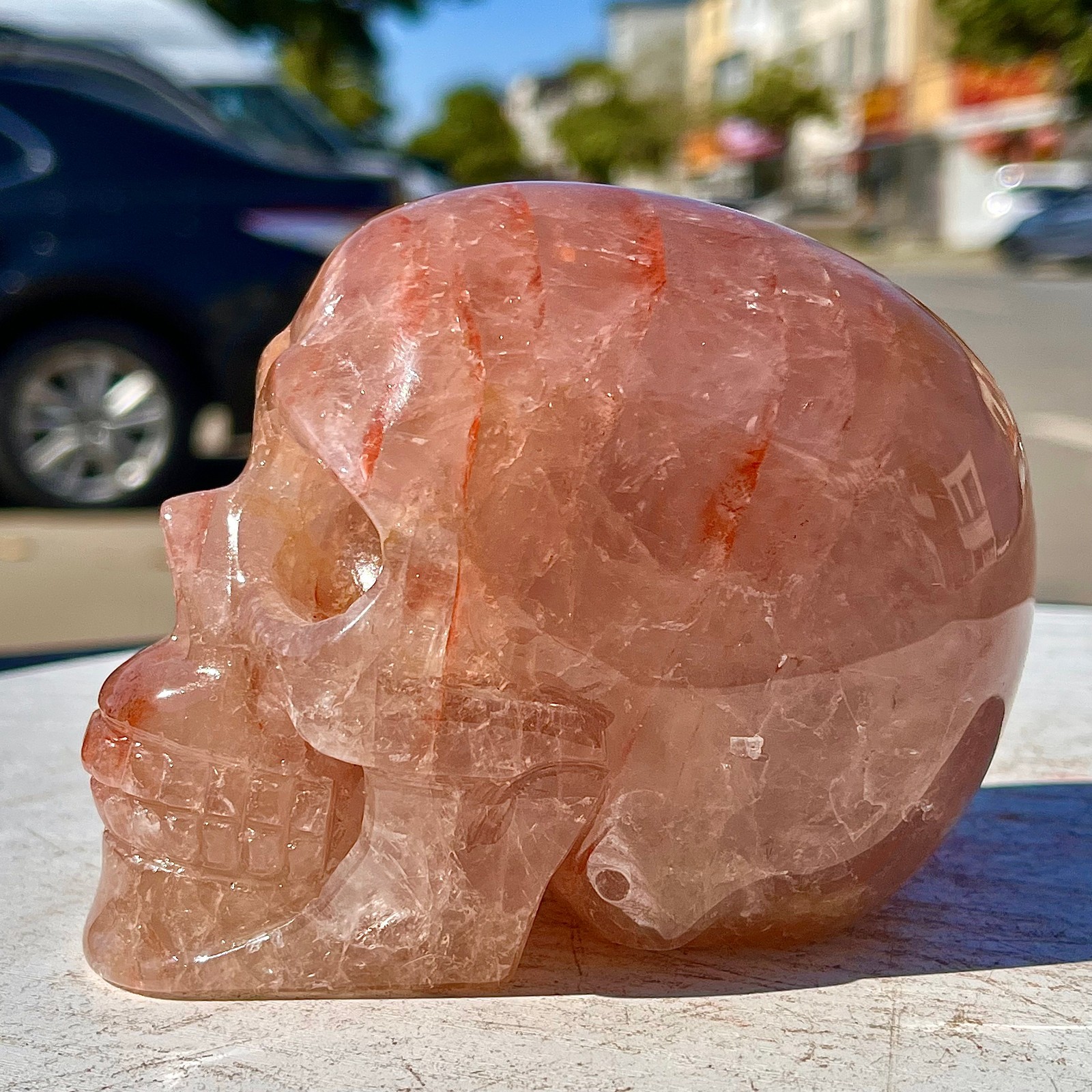 2.53LB Natural dreamy red gum flower skull hand carved skull healing