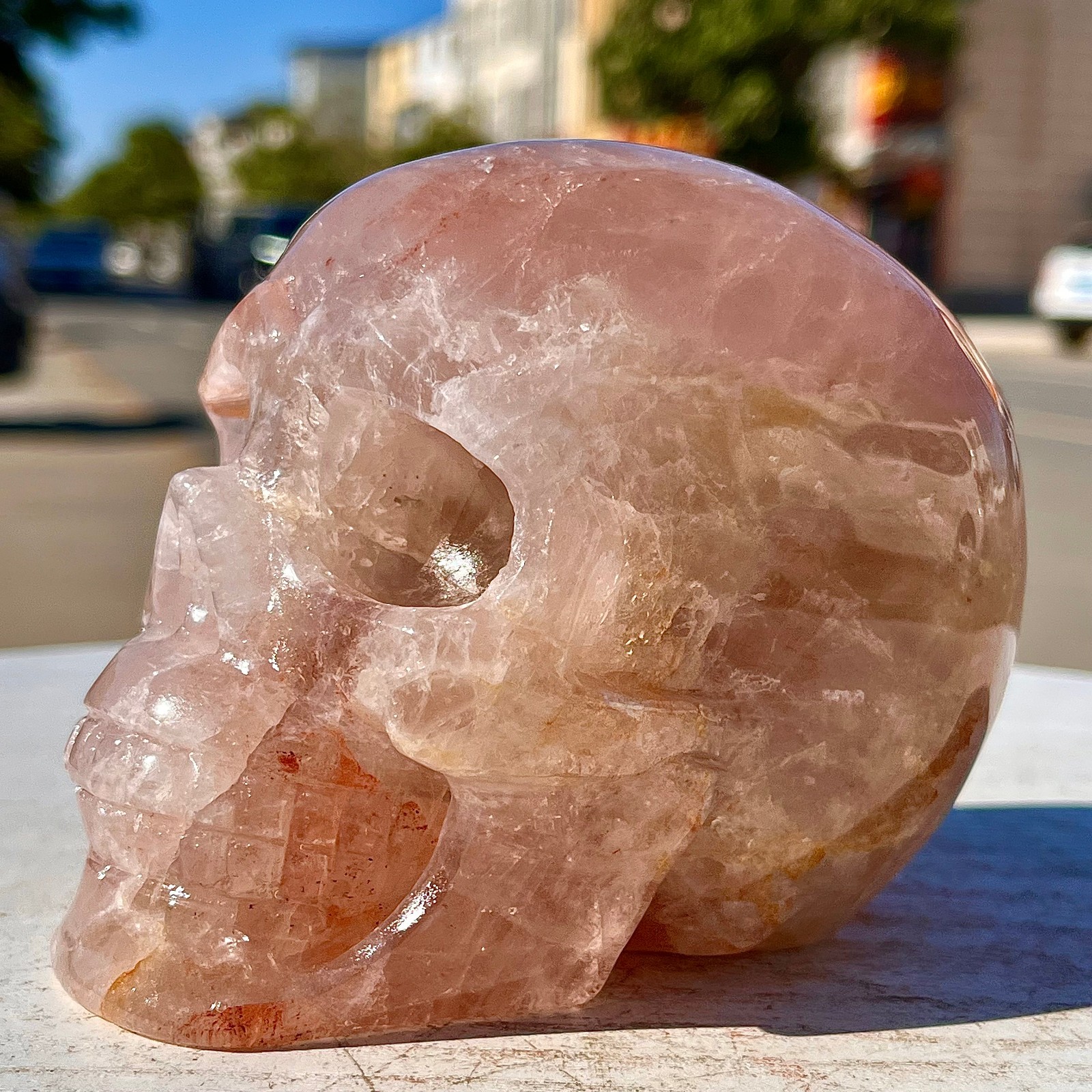 2.71LB Natural dreamy red gum flower skull hand carved skull healing