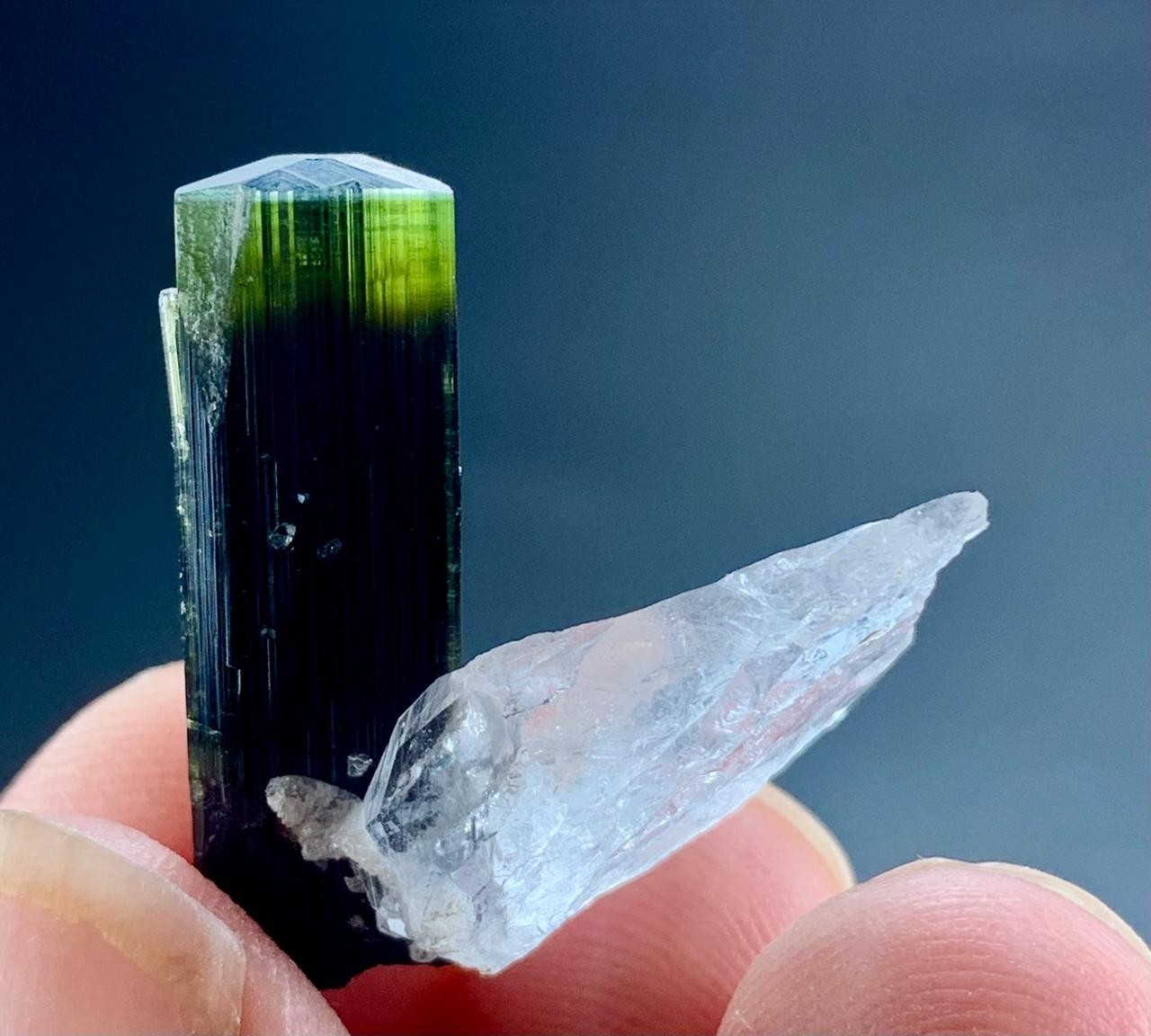 Natural Green Cap Tourmaline Crystal Specimen Lot Skardu Pakistan Minerals