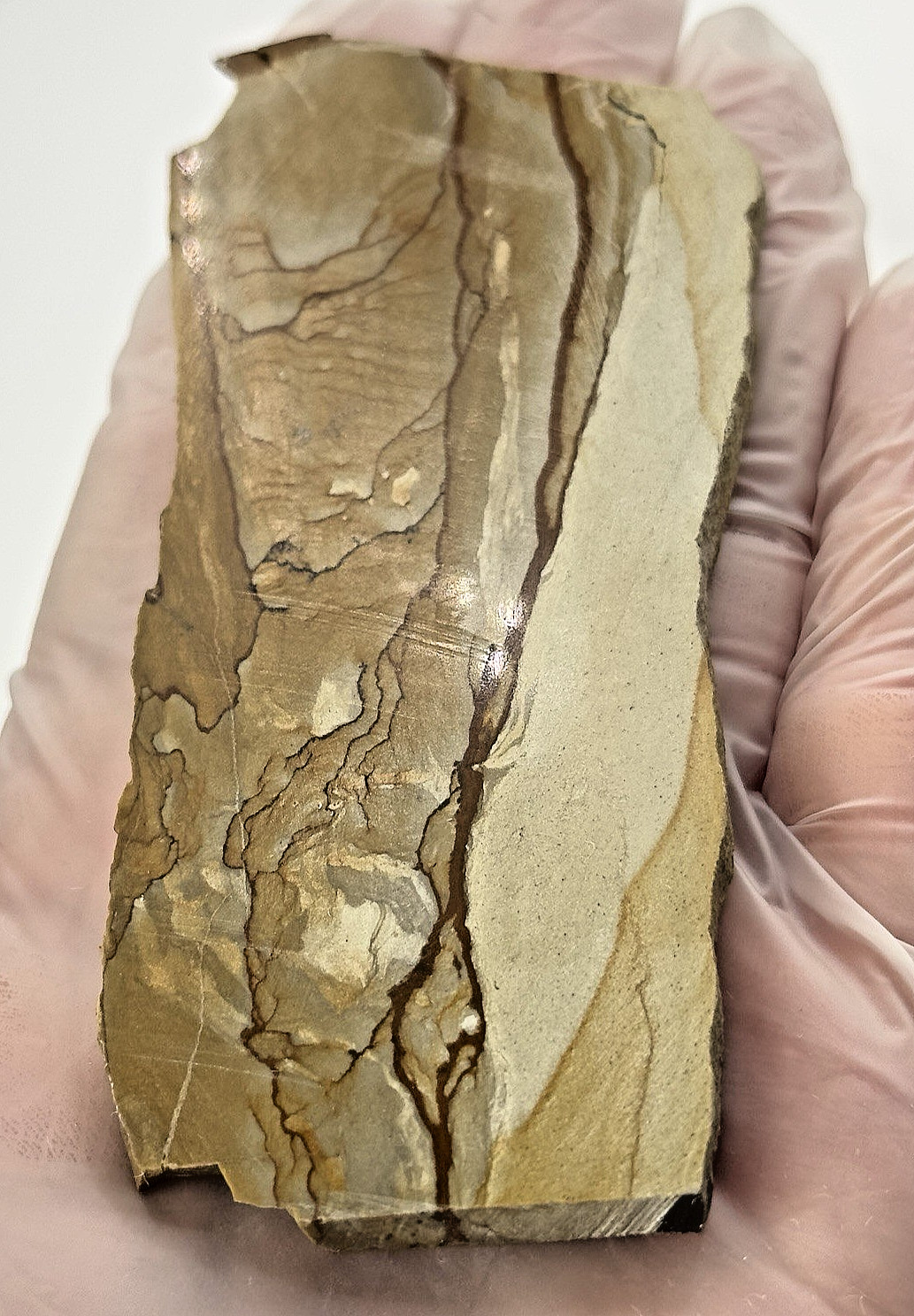 2) Rare Polished Ohwlee Picture Jasper Slab 5.25″ Display Specimen 2.8 oz