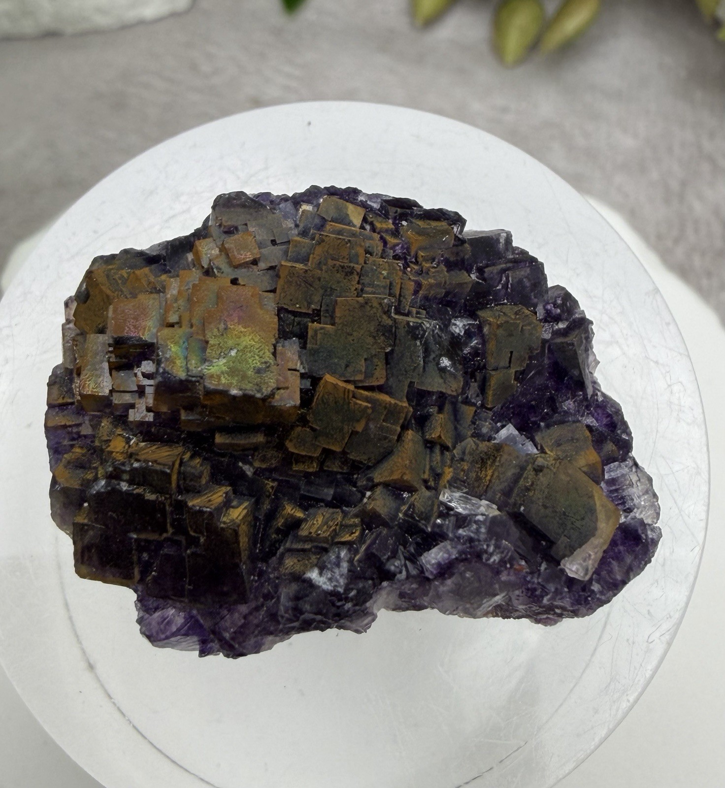 Crystal 25g Rainbow Covered Purple Fluorite UV Reactive Cluster Specimen Mineral