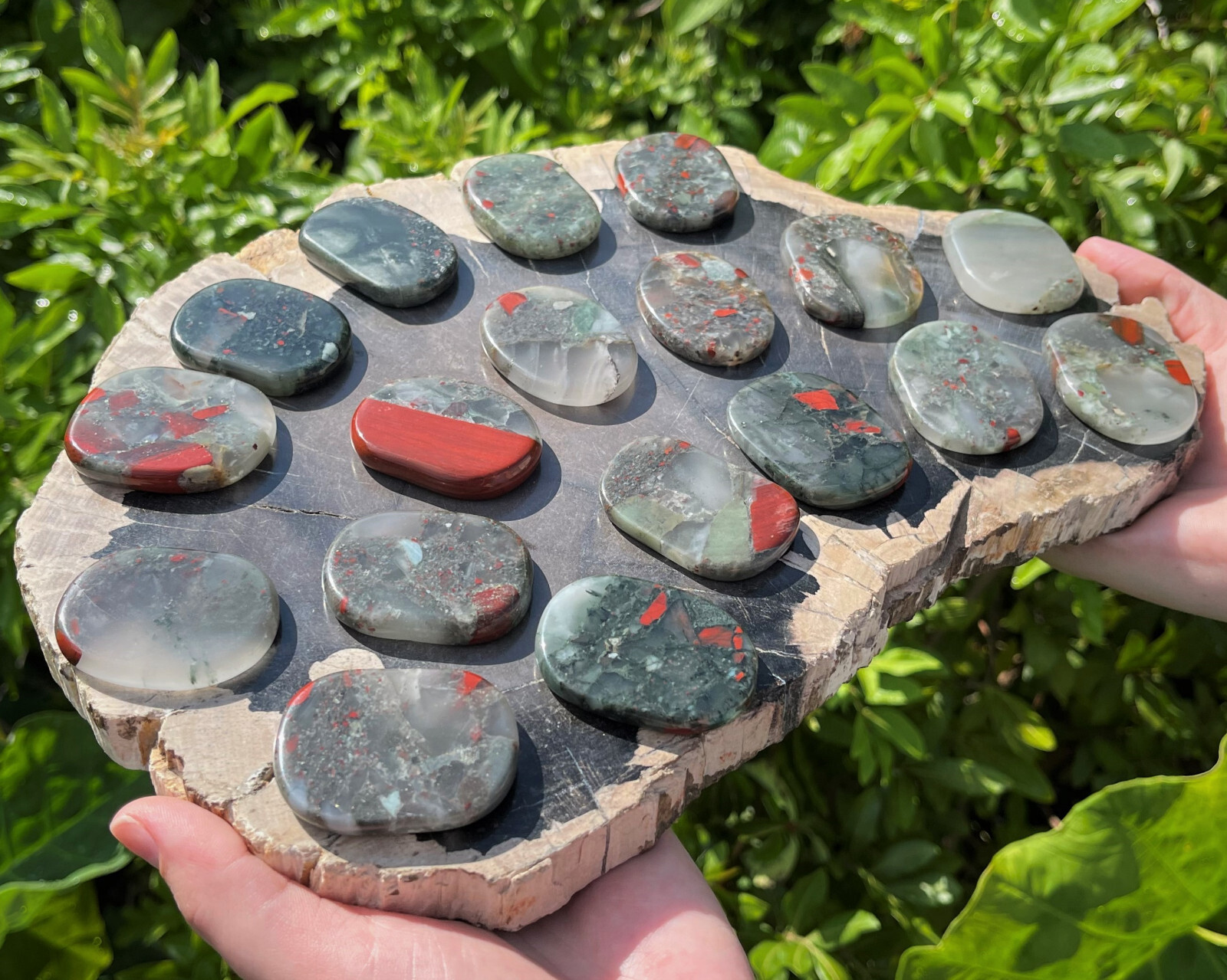 Bloodstone Pocket Palm Stone MEDIUM (Smooth Polished Bloodstone Worry Stone)