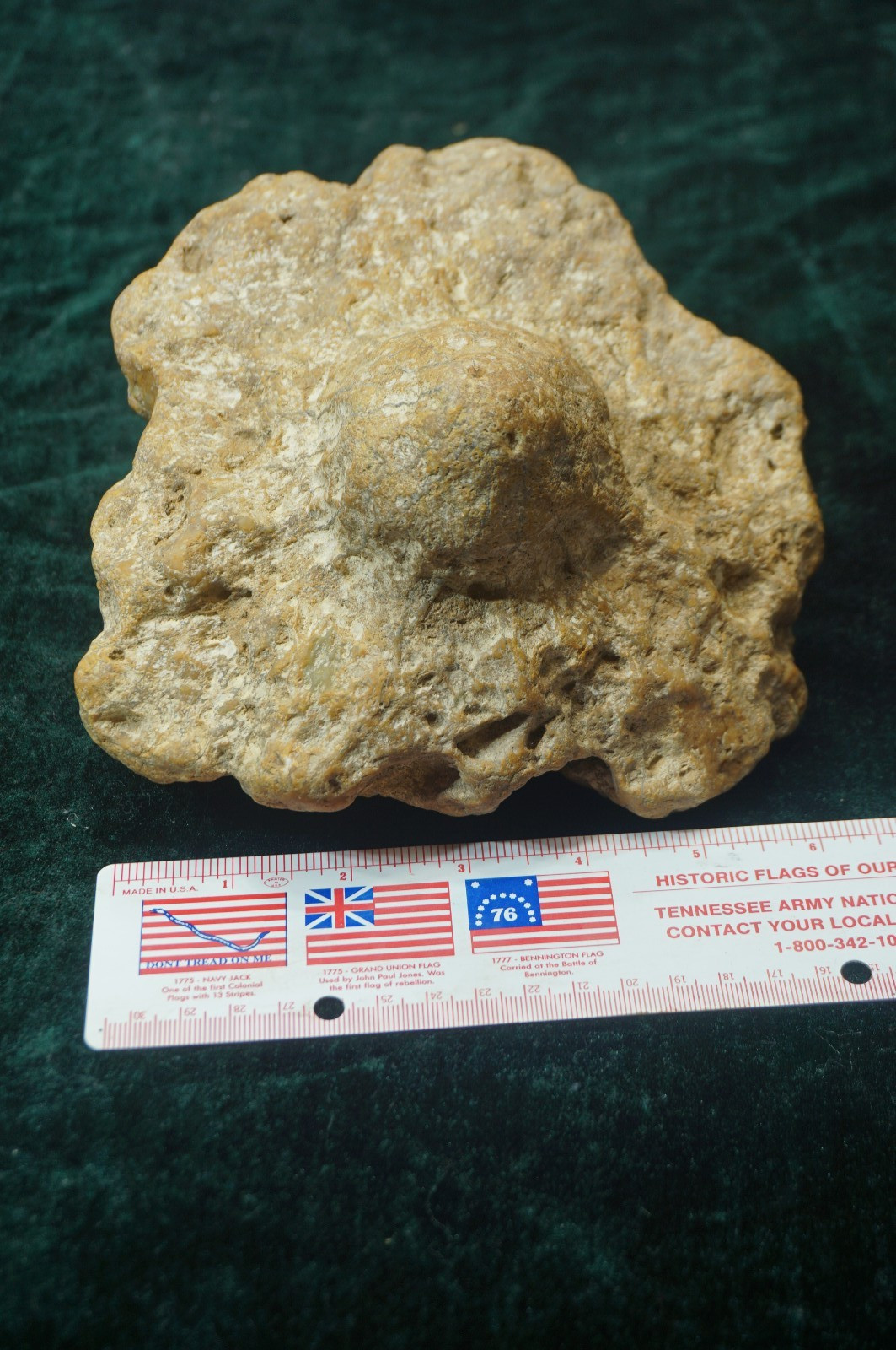 Flying Saucer Kentucky Geode