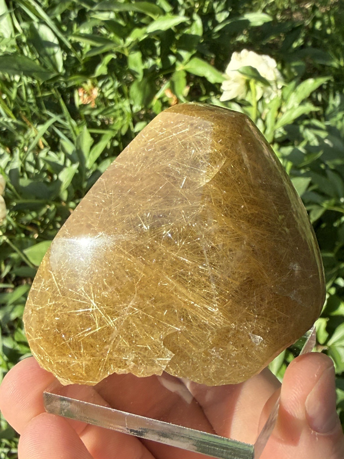 Golden Rutilated Included Quartz Freeform Polished Brazilian 6cm- 283g- ID68