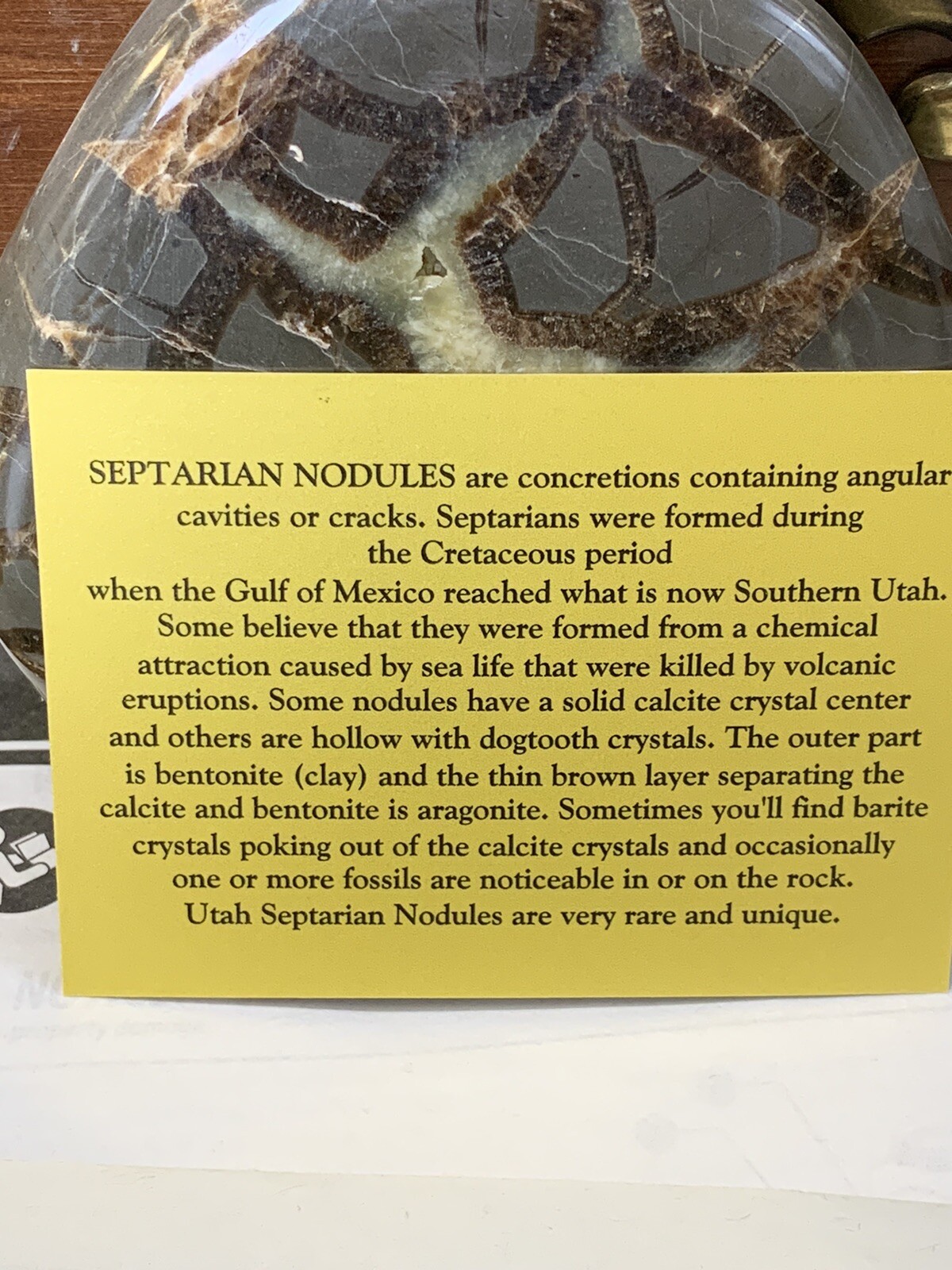 Septarian Nodule, Dragon Stone,End cut ( Utah ), Description Card, stand