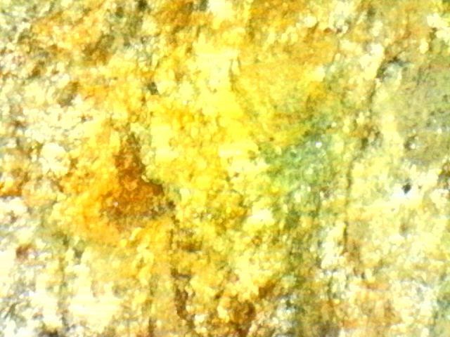 Platinum and Gold Ore Specimen/ Black Hills South Dakota