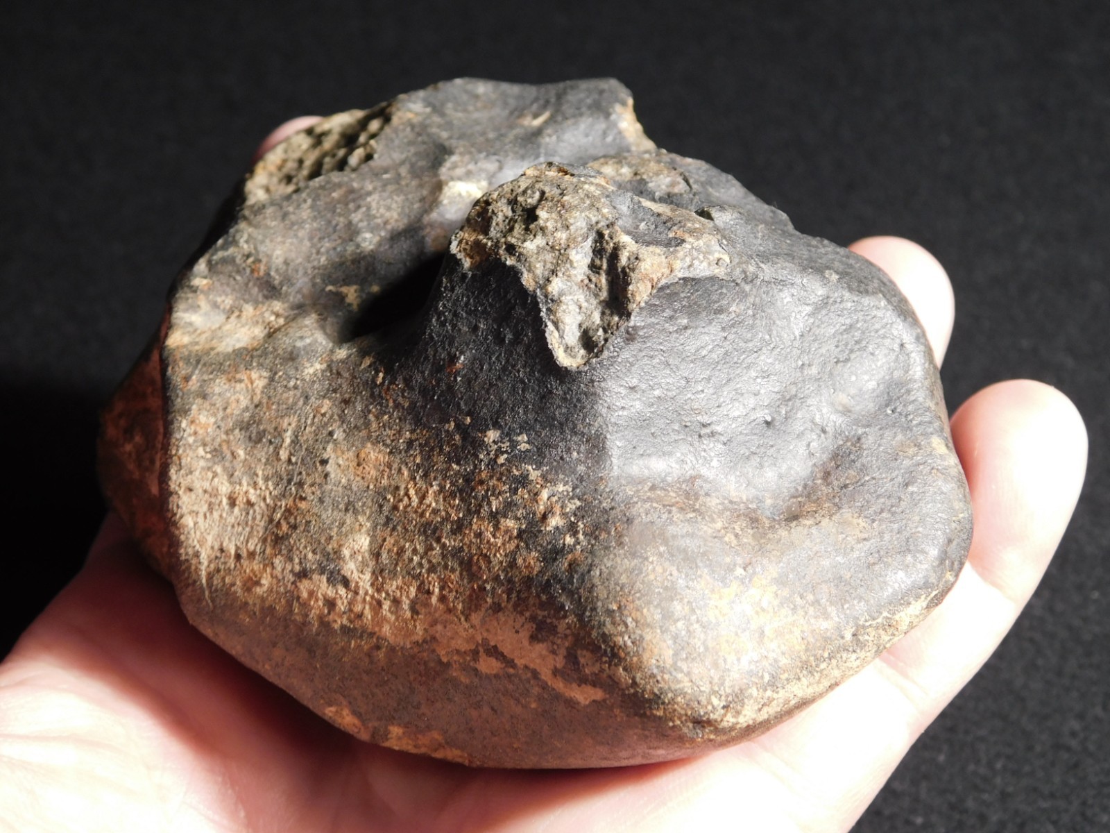 Big! N.W.A 869 Stony METEORITE with Dark Fusion Crust and DEEP REGMAGLYPTS 880gr