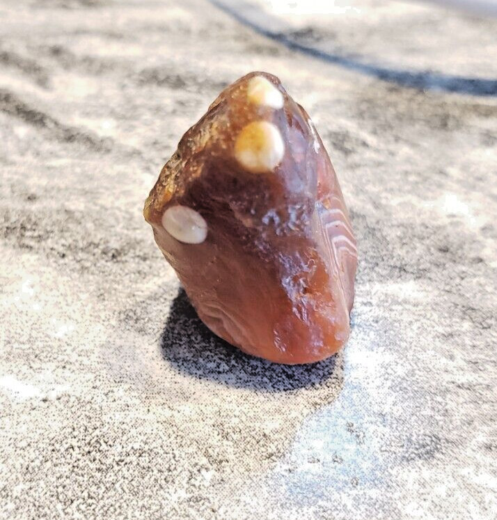 5 Bright Eyed Goblin – Lake Superior Agate – Bonus Banding – Red and White