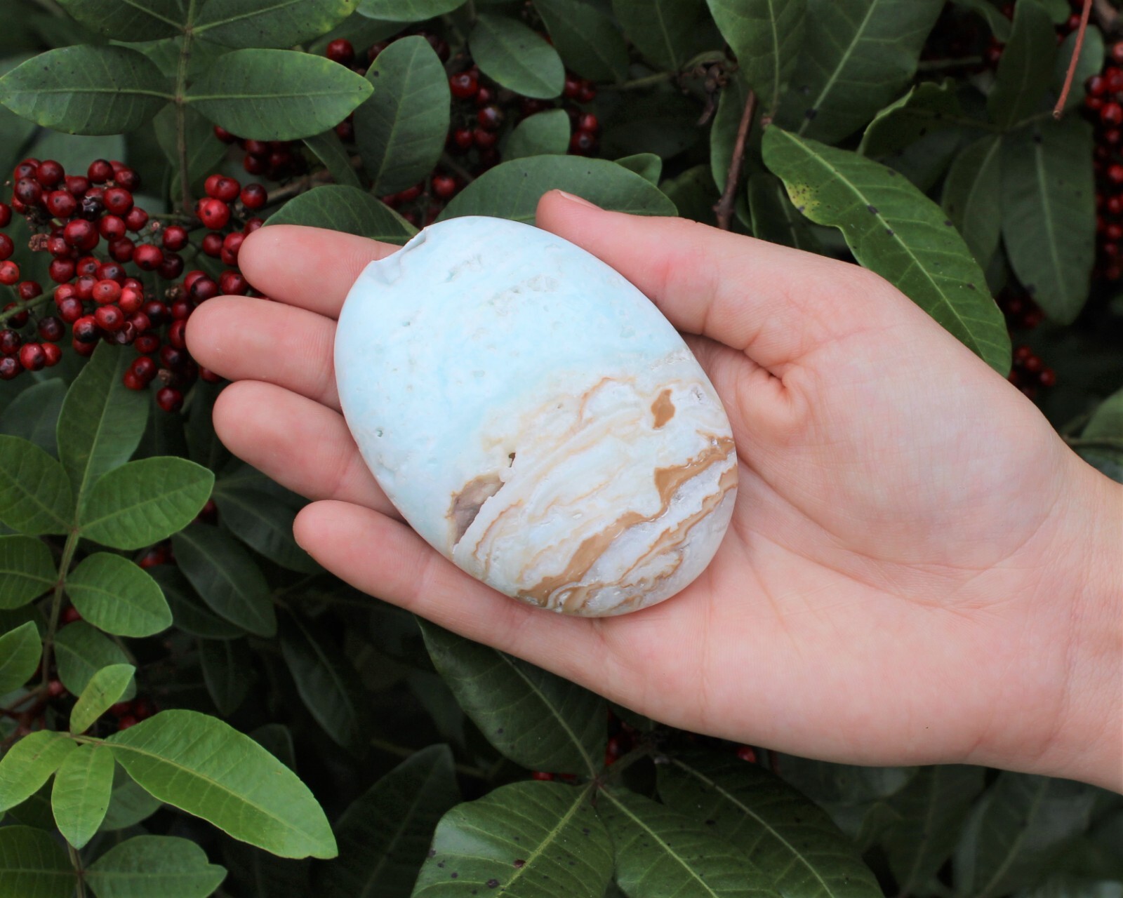 LARGE Caribbean Calcite Palm Stones – Hand Polished Carribean Calcite Crystals
