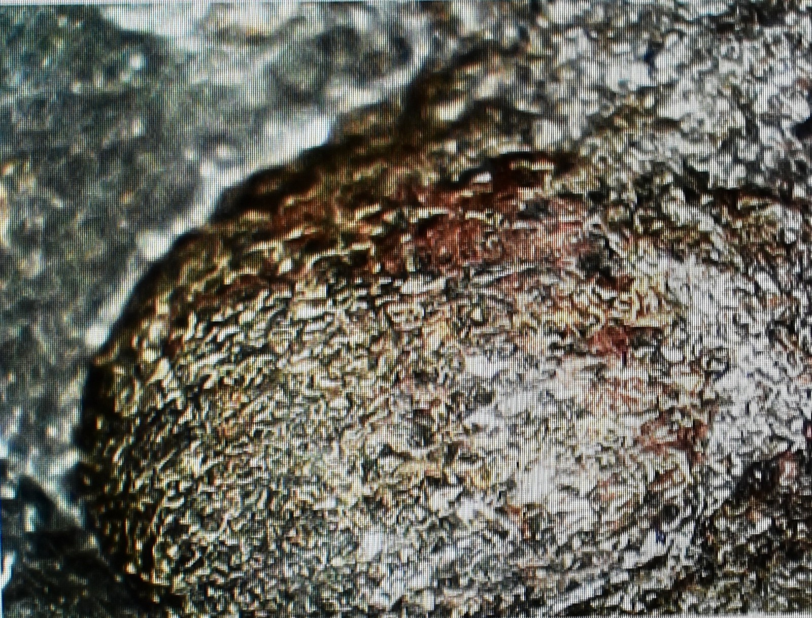 Hemitite Iron Ore Original Shaft 1800s Ore Knob Copper Mine North Carolina