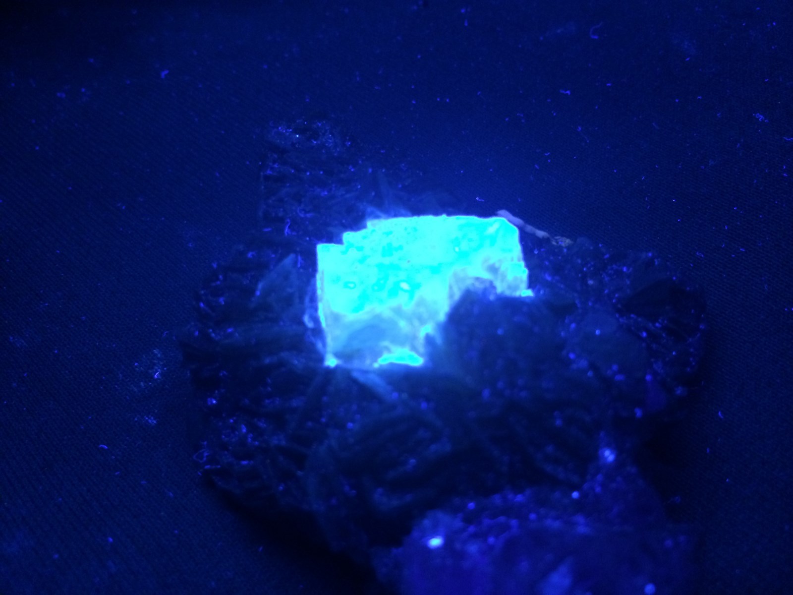 KB: SW FL BRIGHT BLUE/WHITE XL OF SCHEELITE IN MATRIX, XUEBAODING MINE, CHINA