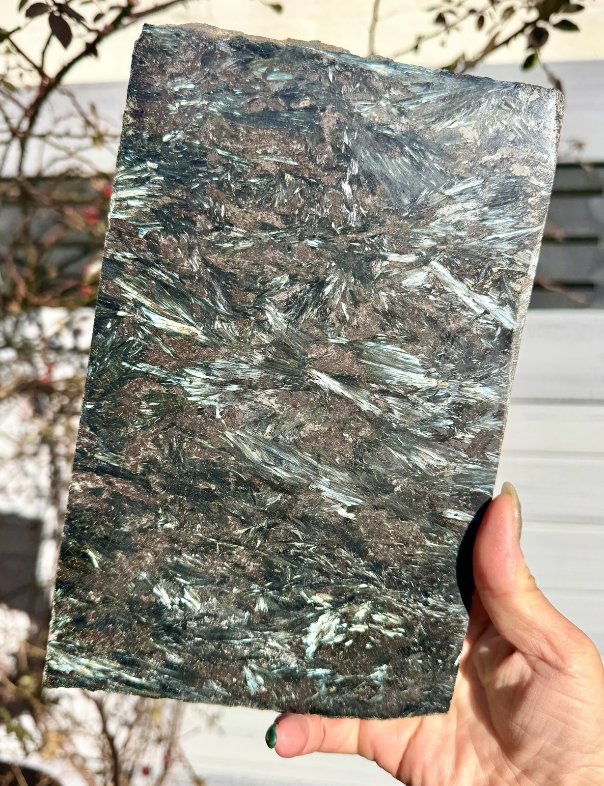 Wholesale Lot 6 Lbs Natural Astrophyllite/ Arfvedsonite Polished Slab Crystal