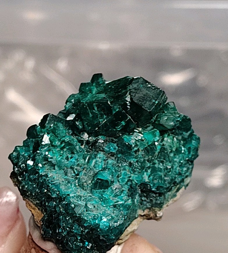 Vibrant Dioptase Crystal Cluster on Matrix – 4cm Thumbnail Mineral Specimen