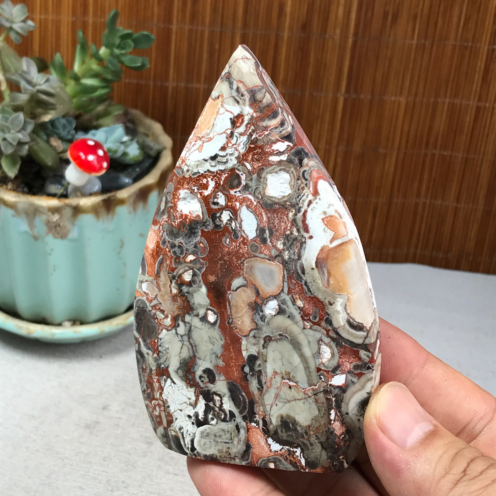 Natural money Mexico agate hand carve leaf Crystal Specimen free standing A6260