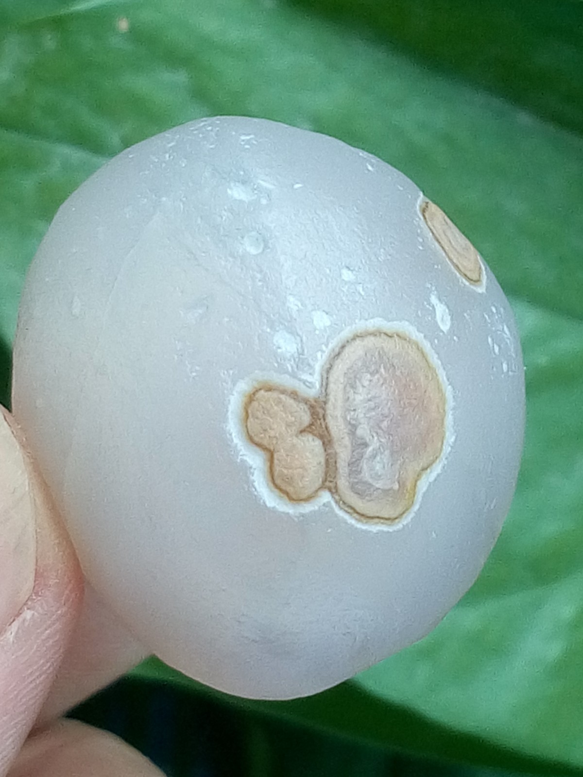 36mm Natural GoBi agate eye agate stone Polishing collection