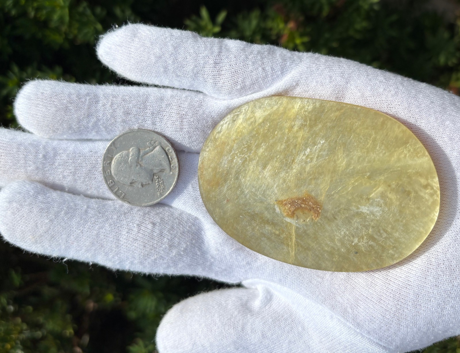 92g 2.74″ UNCOATED YELLOW GOLDEN GOLD MICA PALMSTONE PALM STONE NON-LACQUERED