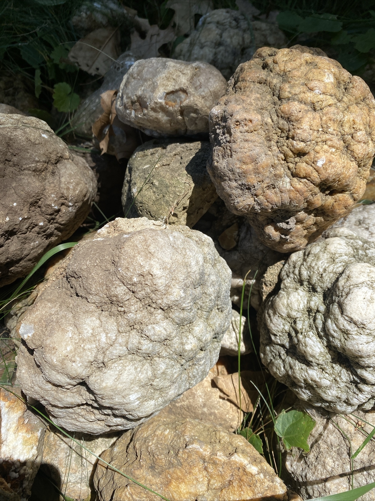 7 Pound Whole GEODES AGATES NODULES Lapidary Uncut Semi to Solid Unopened Quatz