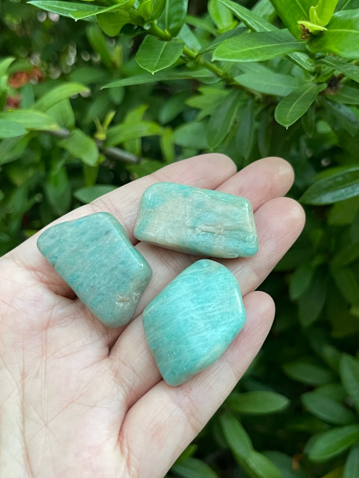 Grade A++Amazonite Tumbled Stones, 0.8″-1.25″ Polished Amazonite, Wholesale Lots