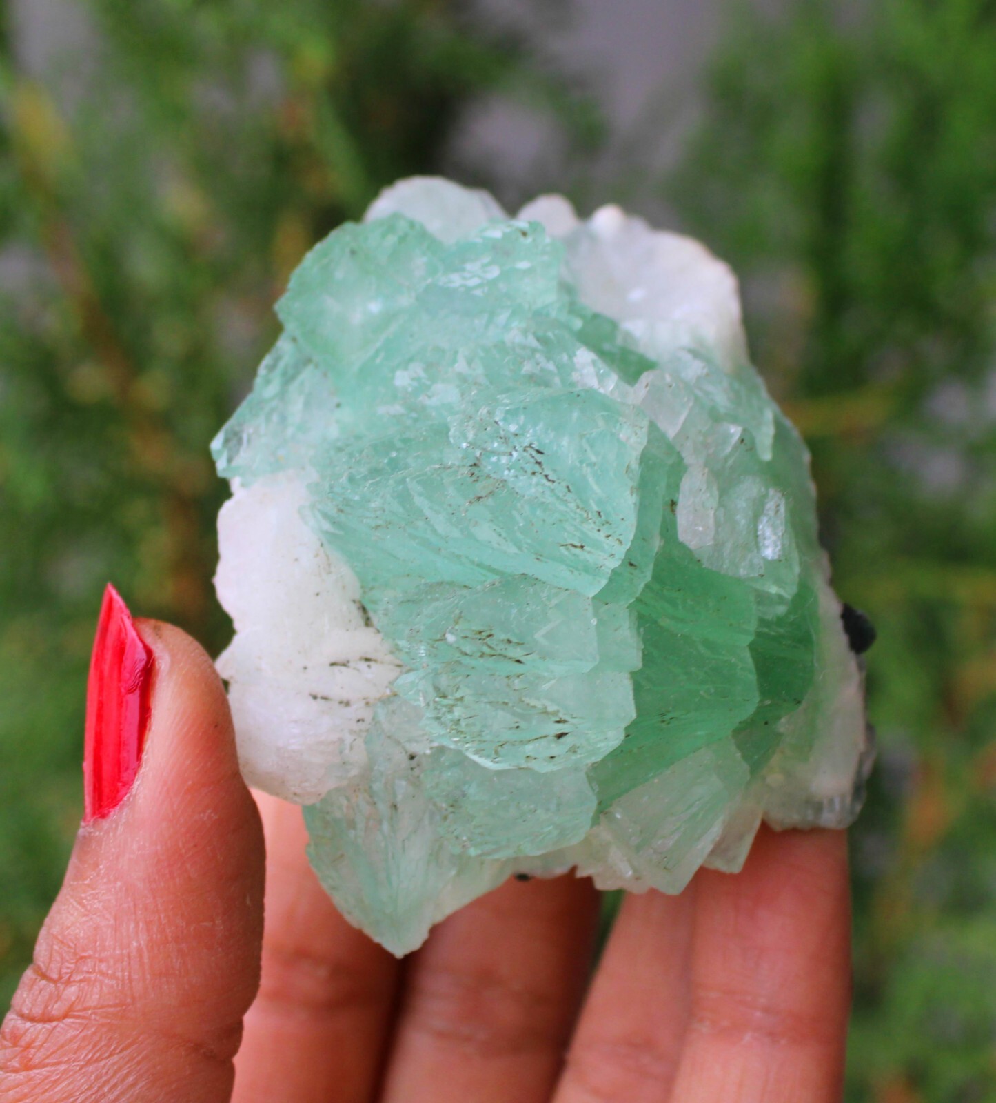Green Apophyllite Crystals On Matrix Minerals Specimen #M50