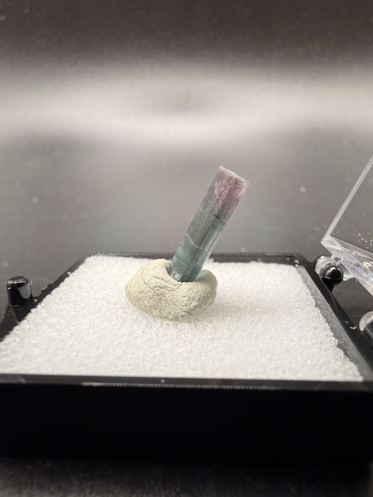 Gemmy Bi-Color Elbaite Tourmaline Crystal (Thumbnail) – Paprok, Afghanistan