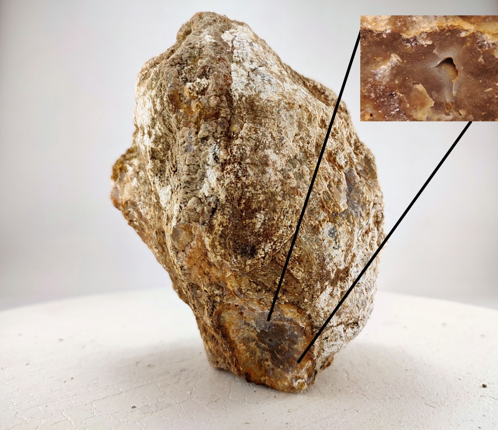 5.25″ Unopened Kentucky Geode Nodule 3.9LB Natural Chalcedony Crystal Quartz