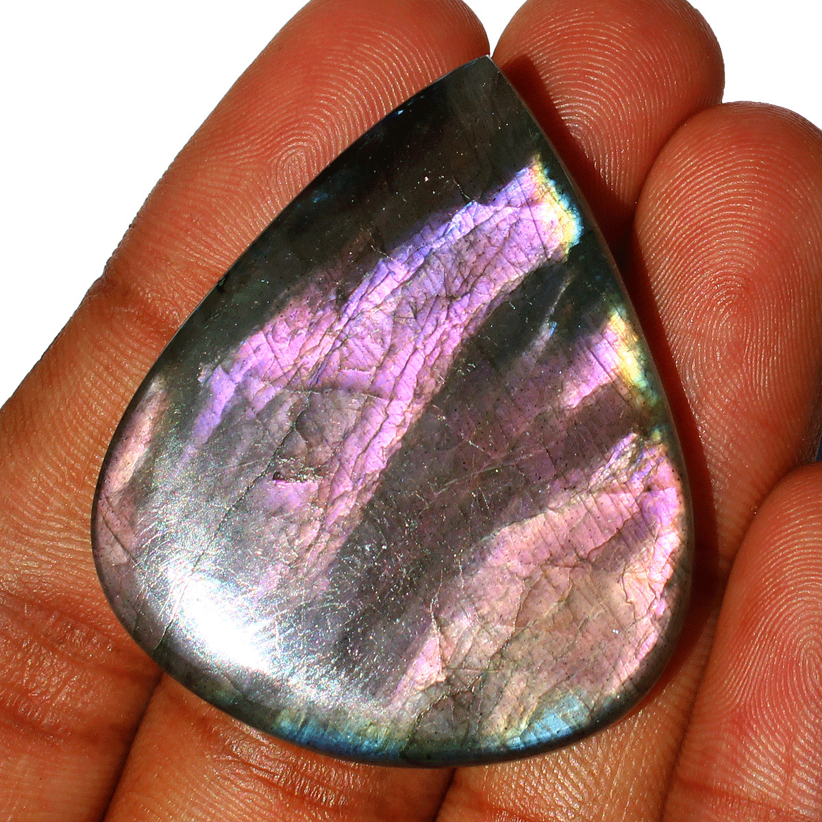 4 PC Natural Labradorite Multi Purple Flash Collectible Gem Crystal Palmstones