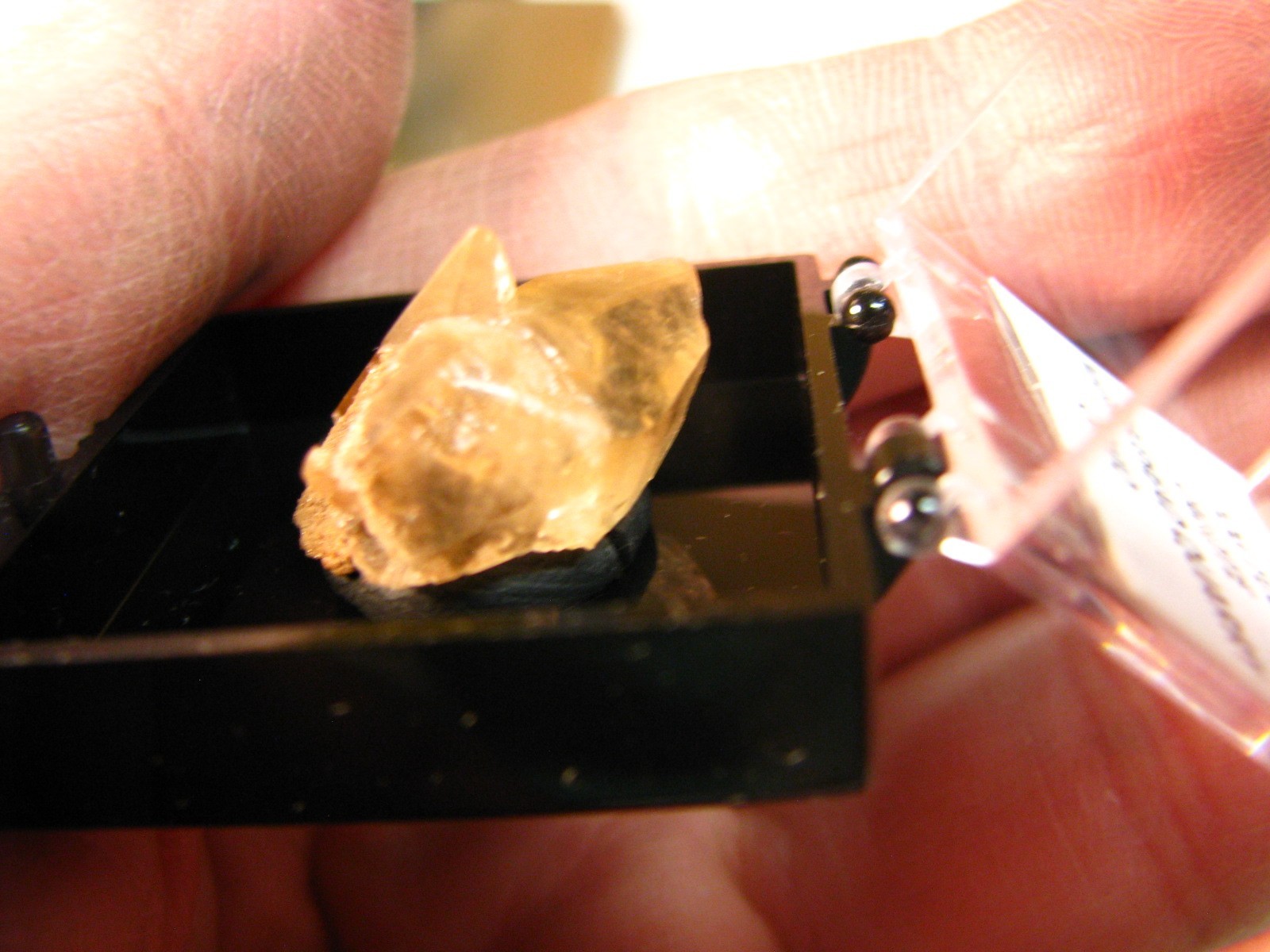 GOLDEN DOGTOOTH CALCITE CRYSTALS THUMBNAIL IN CASE MARBLEHEAD QUARRY OHIO #037