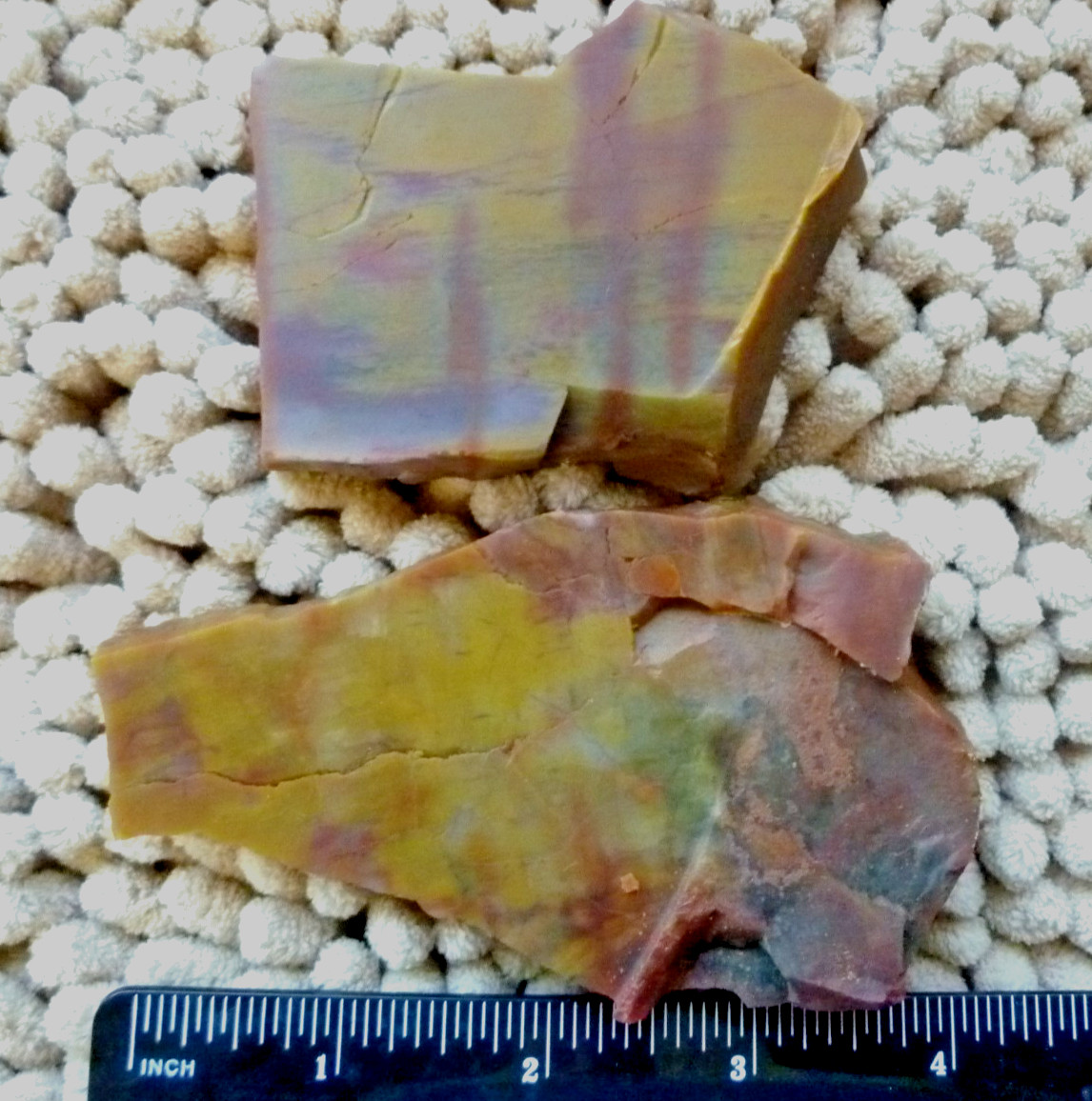 Arizona Rainbow Petrified Wood Agatized 2 slab pieces 8.2 ounces Great Colors