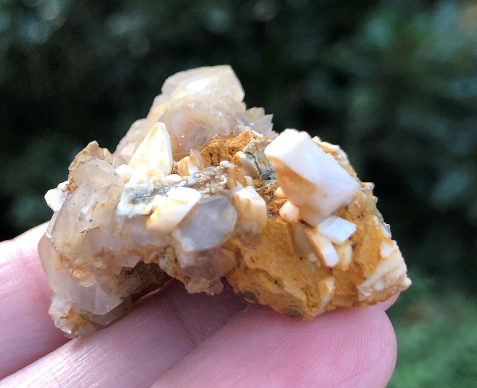 Albite var. Pericline Plus More, Tyrol, Austria, with Lesnicks Label