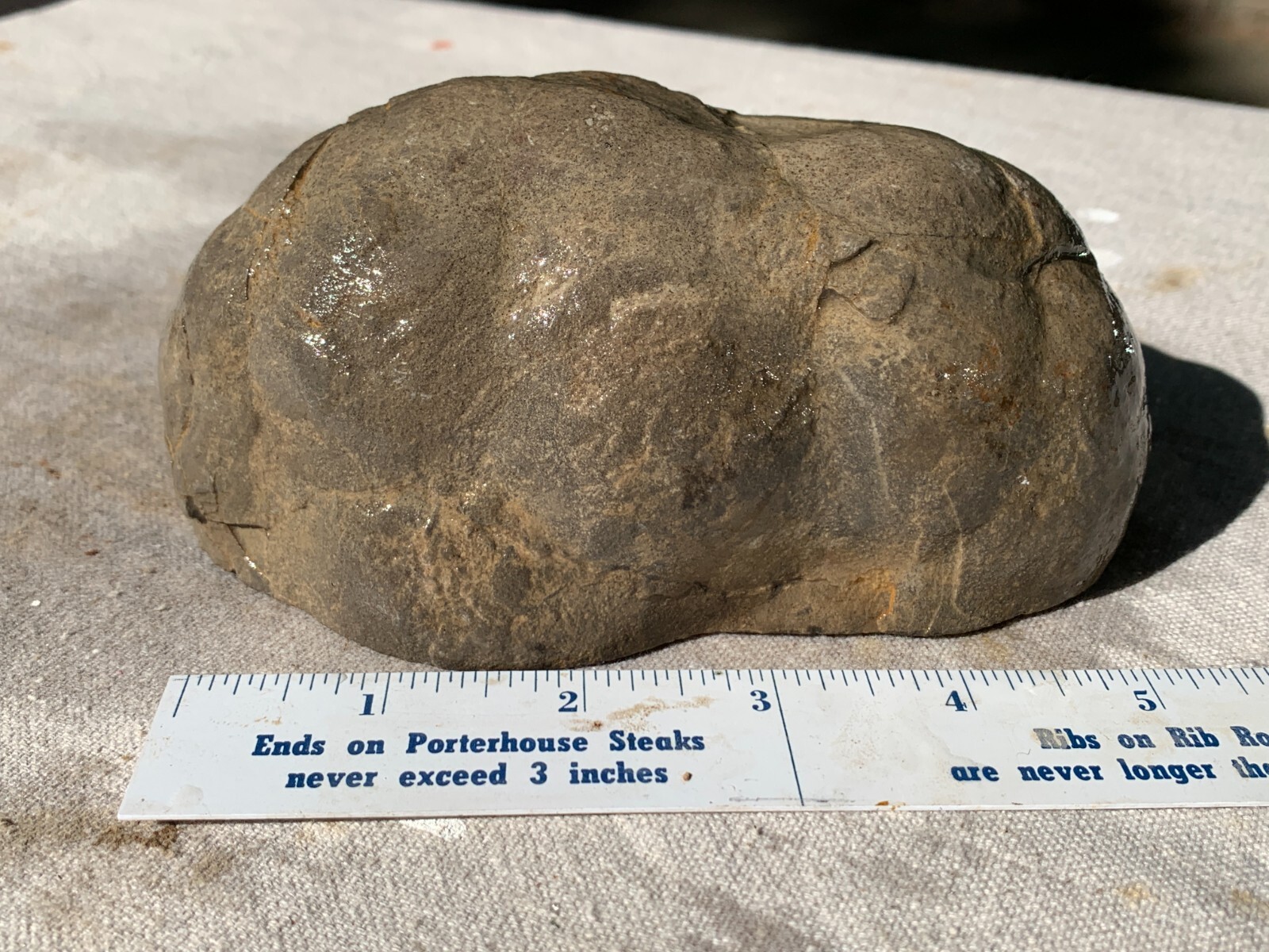 ☆2.7LB (1200Gr) 5.5 Inch Septarian DOUBLE Nodule 1/2 Geode Mineral from Utah☆724