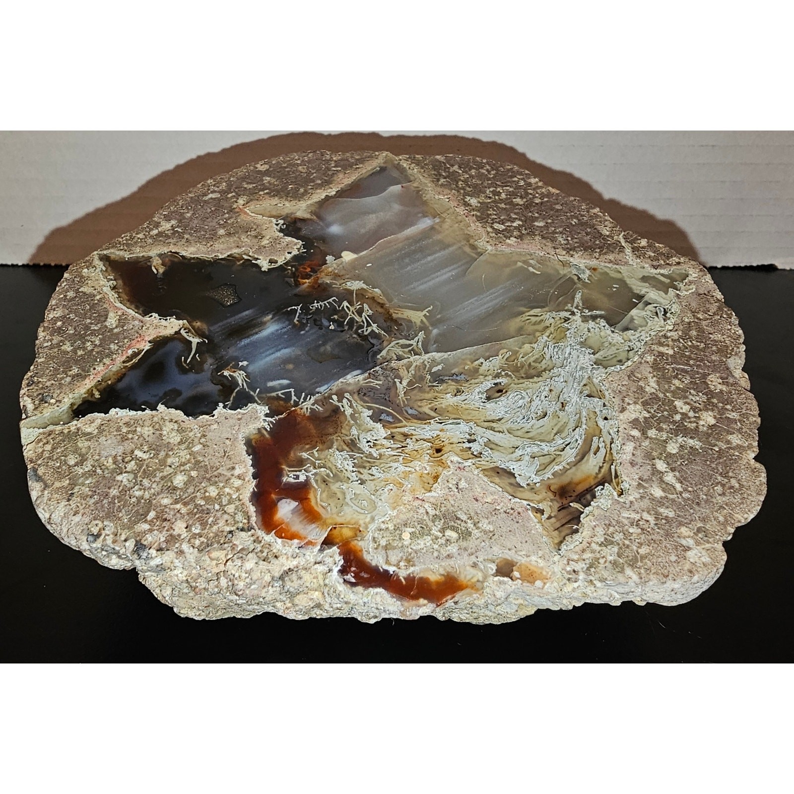 Thunder Egg Geode with Brown and White Chalcedony Crystal