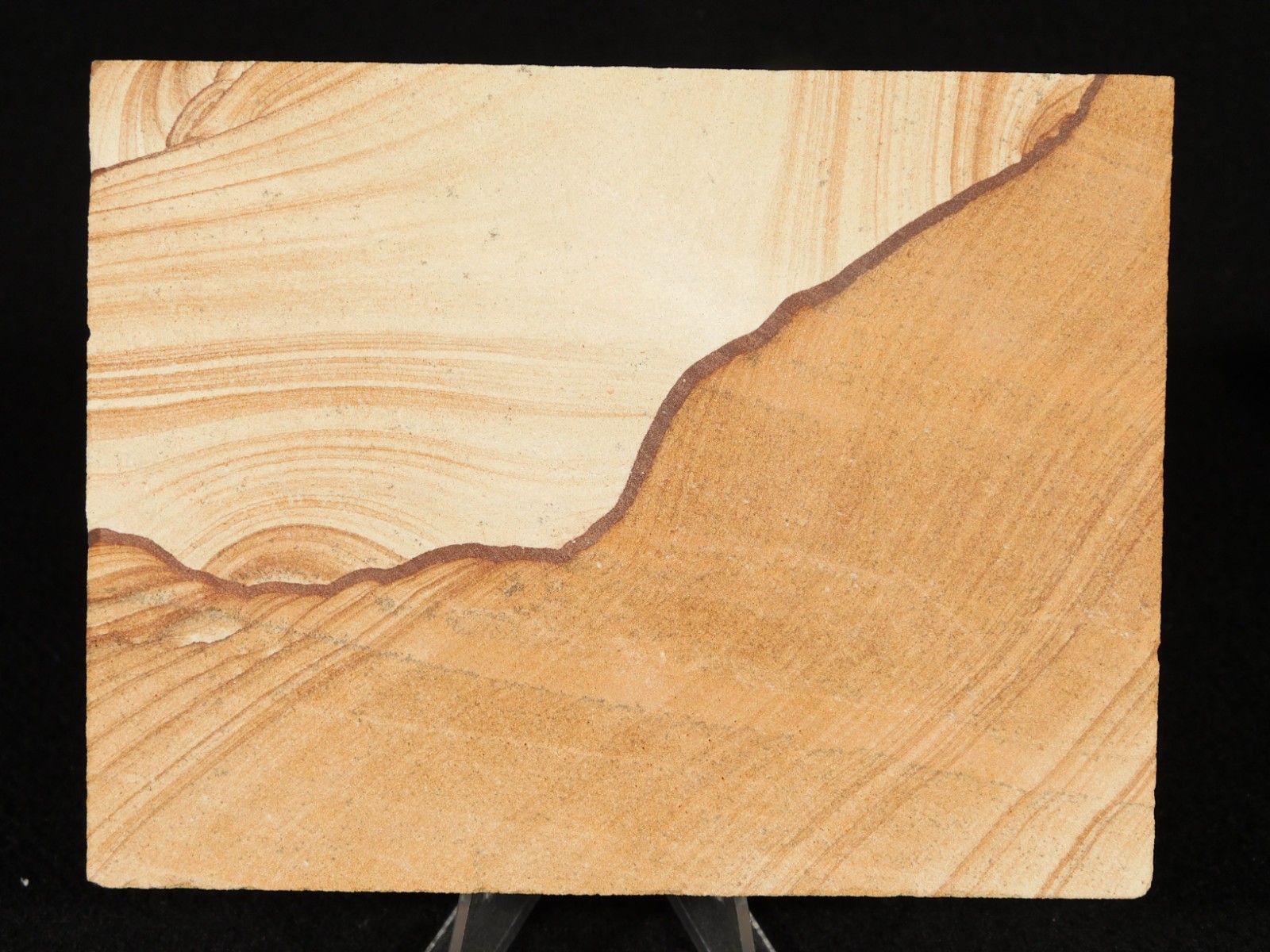 PICTURE Stone or SANDSTONE Slab with Display Stand From Utah 241gr