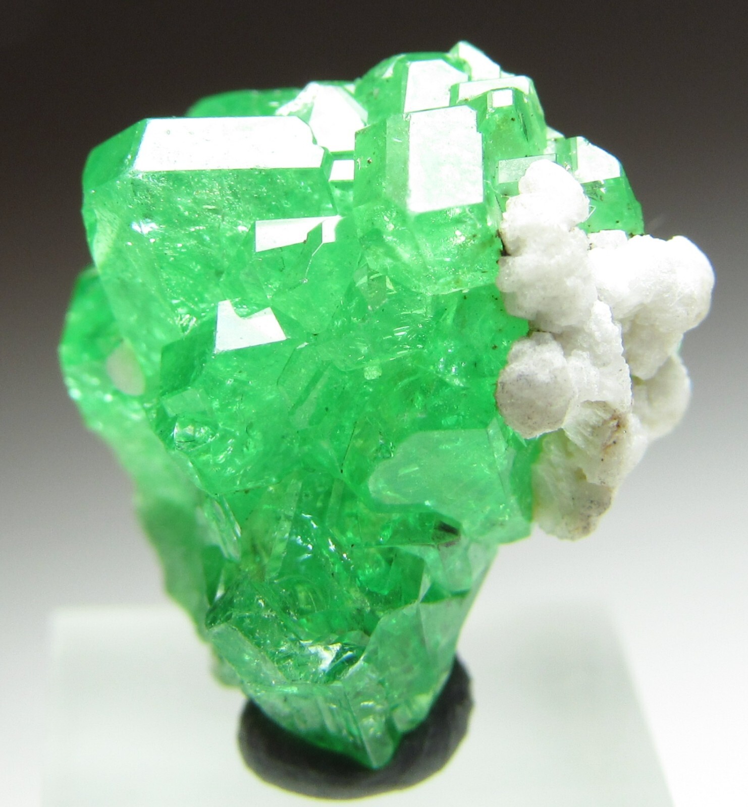 FASCINATING GEOMETRIC GEM TSAVORITE GROSSULAR GARNET CRYSTAL!!! TANZANIA