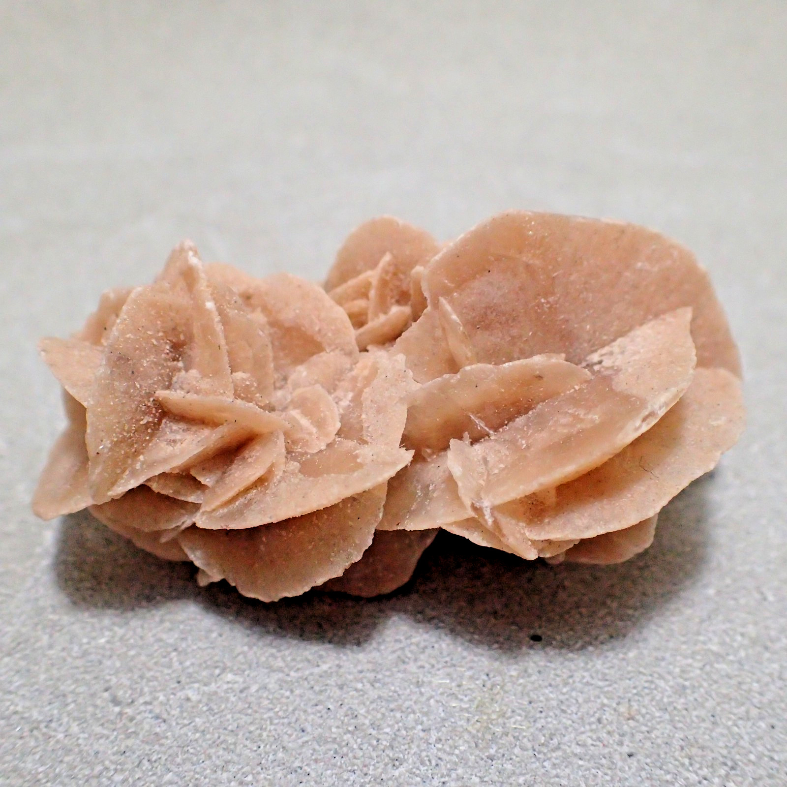 Gypsum var. Selenite, Chottel Djerid, Kebeli Gouernorate, Tunisia