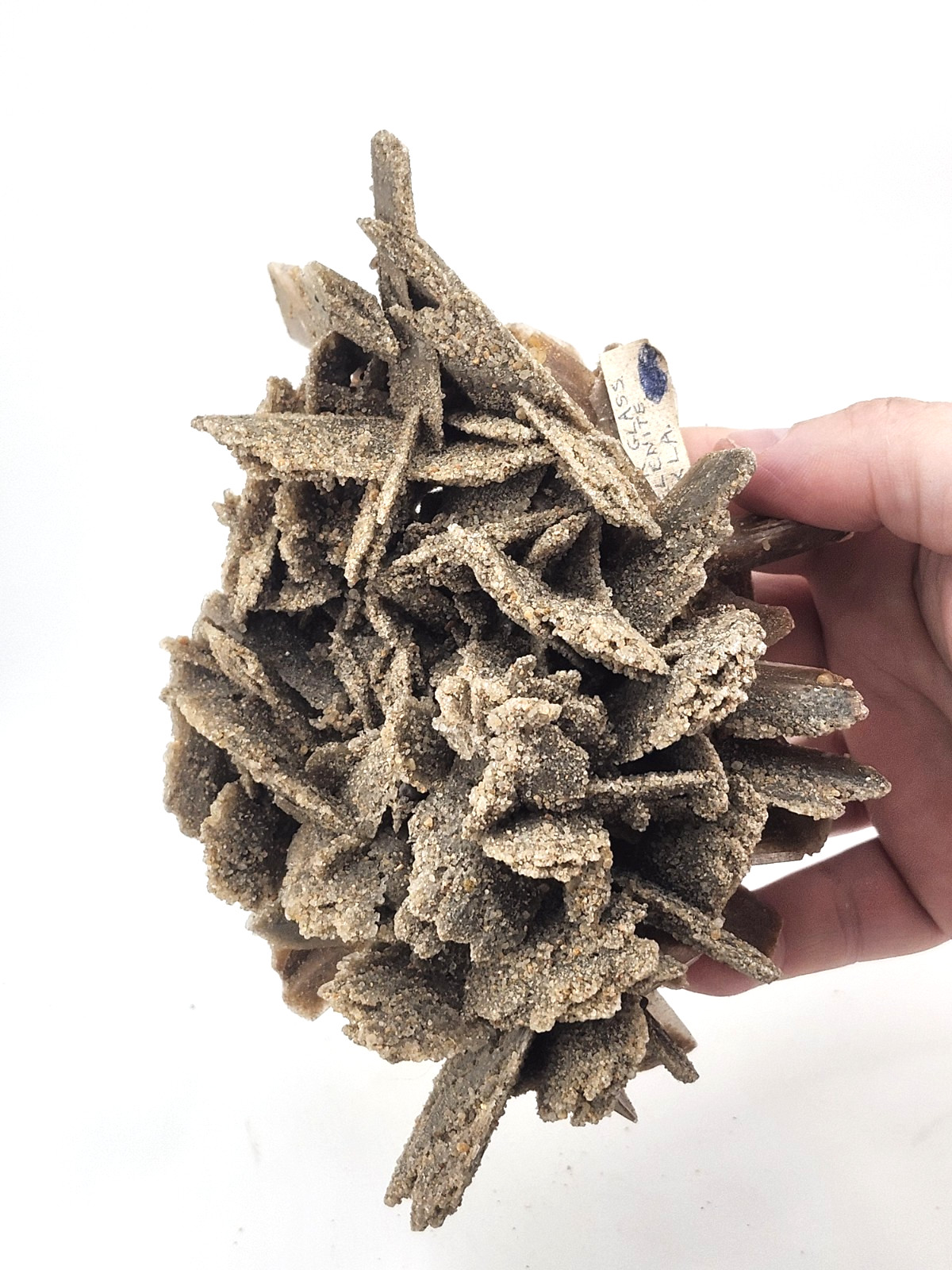 Hourglass Selenite Gypsum Crystal Cluster Oklahoma Old Stock 410 Grams