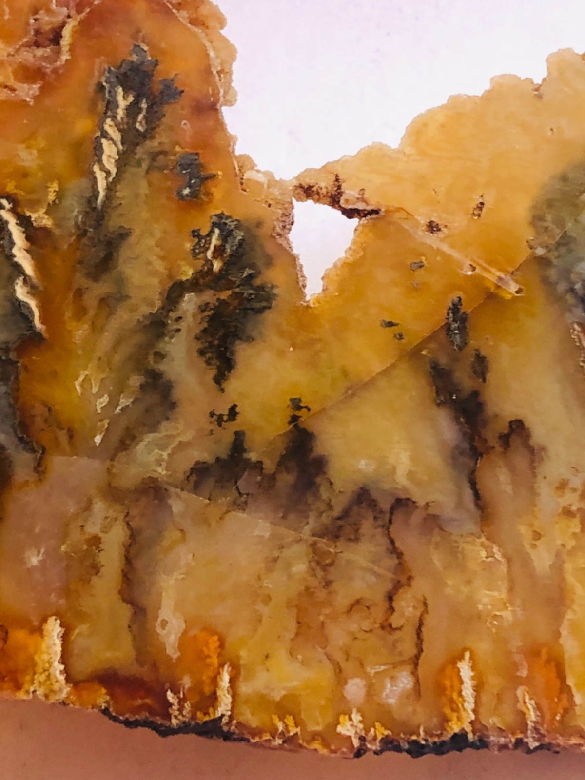 Graveyard Plume Agate Museum Grade Collectors Slab Oregon 202 Grams