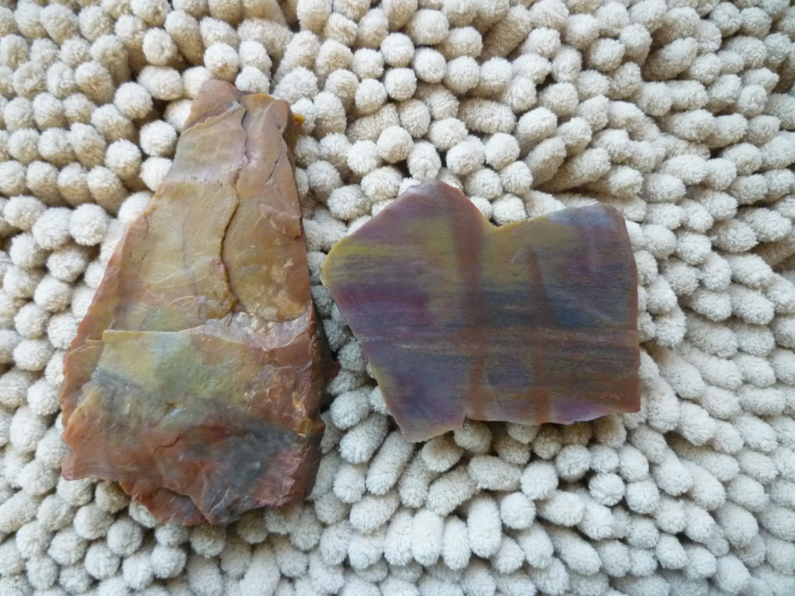 Arizona Rainbow Petrified Wood Agatized 2 slab pieces 8.2 ounces Great Colors