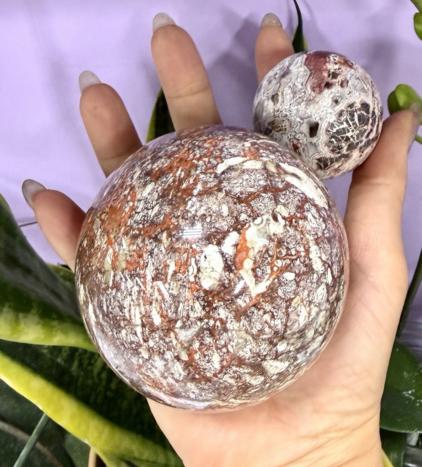 Wholesale Lot 4-5 Pcs Natural Money Agate Spheres Crystal Ball 2.8-3Lbs