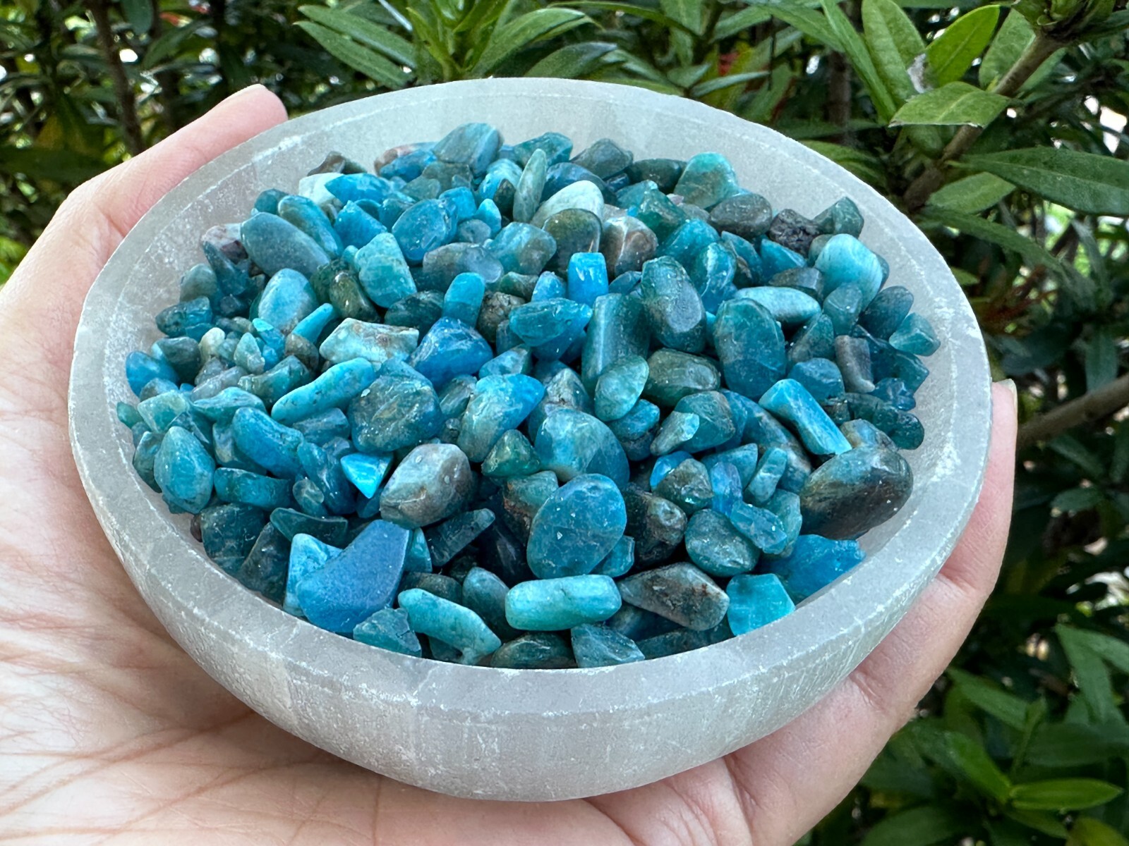 Grade A++ Apatite Semi Tumbled Gemstone Mini Chips 4 – 8 mm, Wholesale Bulk Lot