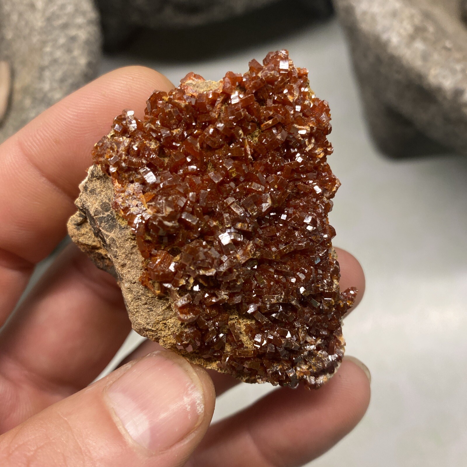 MLC 2 1/8 66g Red VANADINITE Crystals on Matrix Rock Mibladen, Morocco Mineral 2