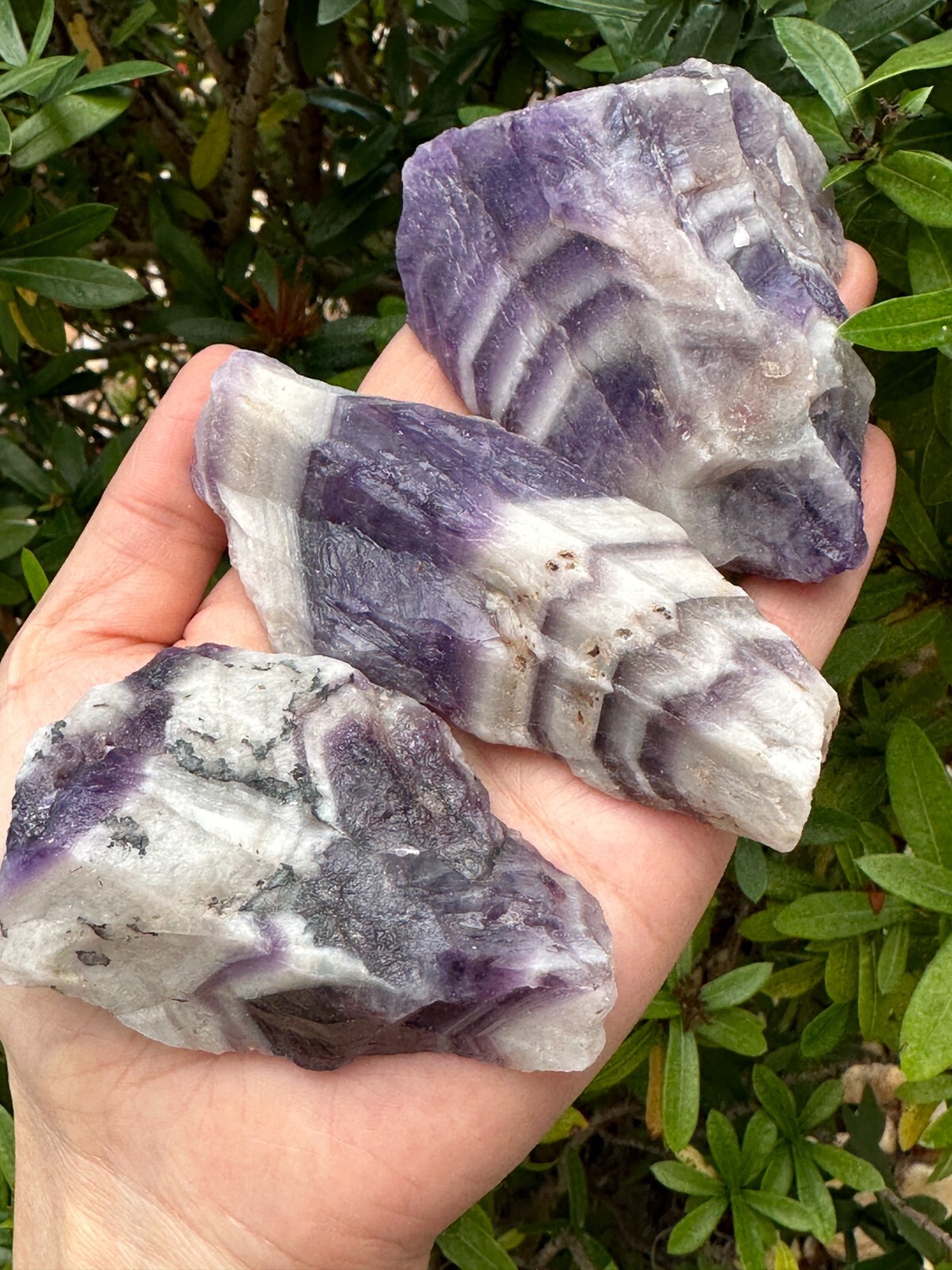 Extra Large Chevron Amethyst Rough Stone, 2″- 7″ Raw Chevron Amethyst Crystals