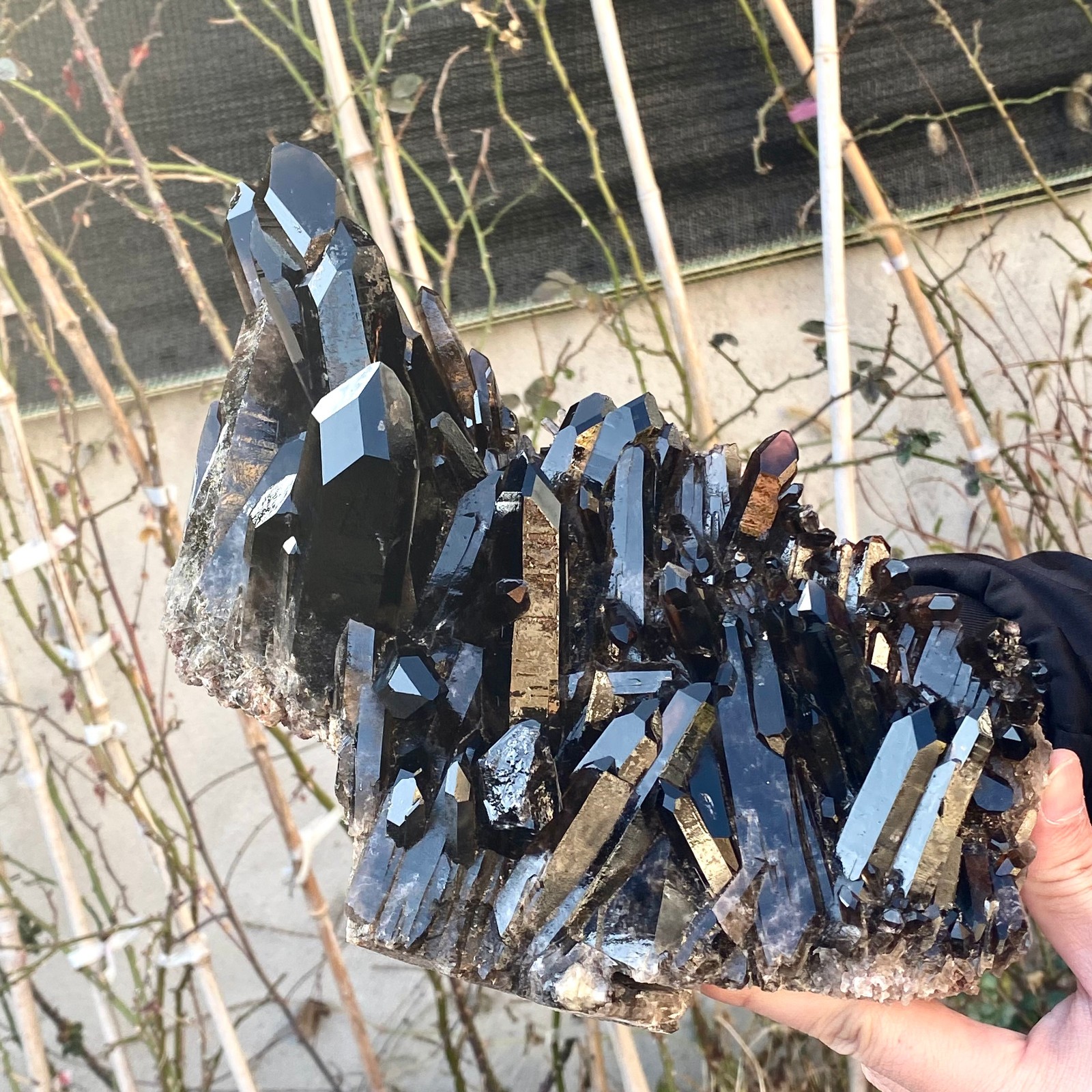 5.25LB Large Natural black Quartz Crystal Cluster Rough Specimen Healing Stone.