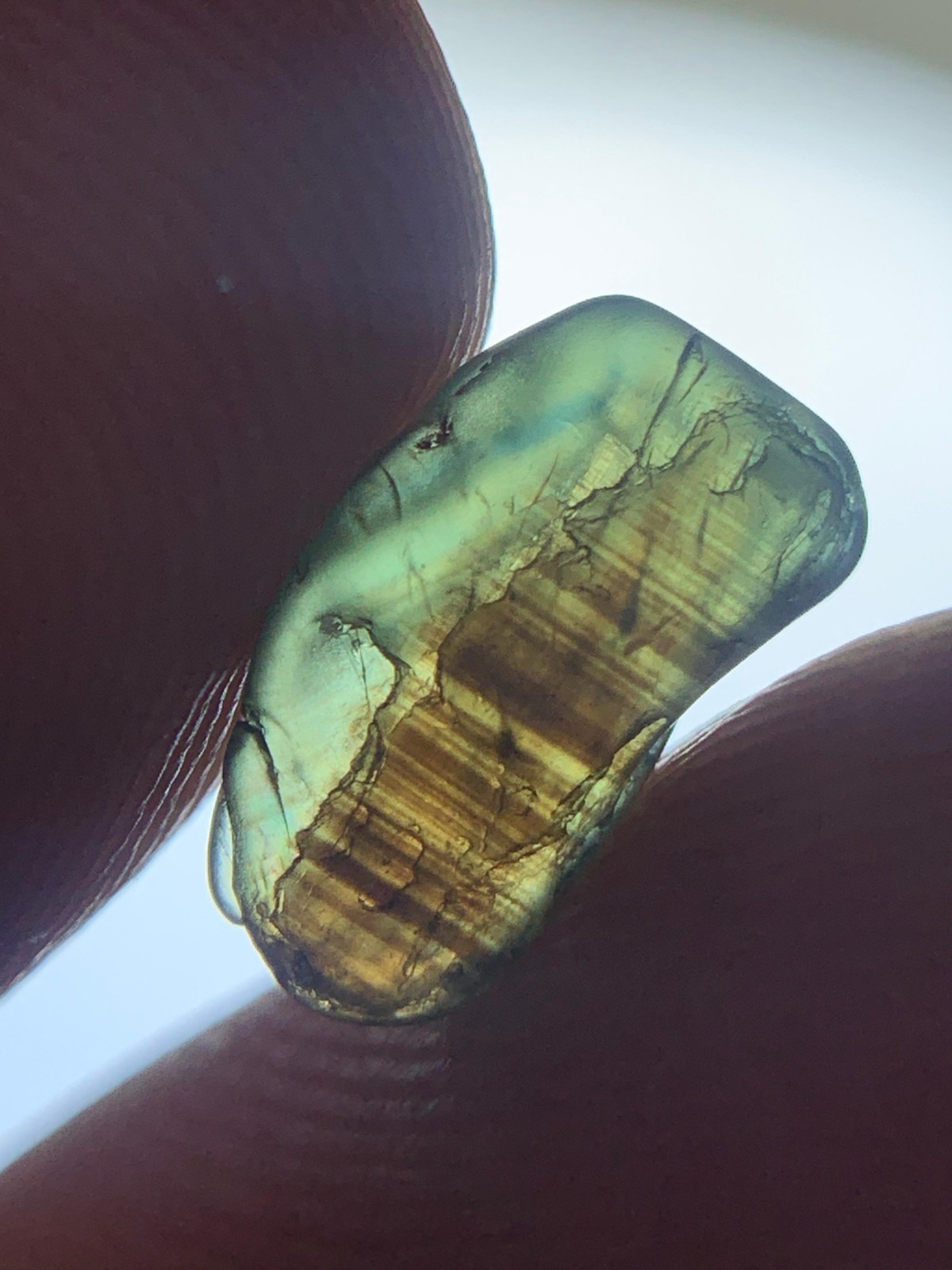 2.45 Crts Natural Stunning Bi Green Brown color Teal Sapphire rough @madagascar