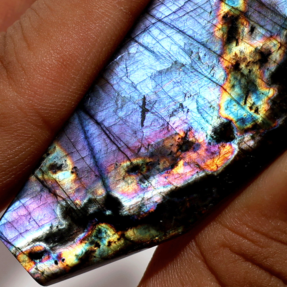 Awakening— Aurora Spectrolite Freeform Slab | Full Spectrum Flash from Finland
