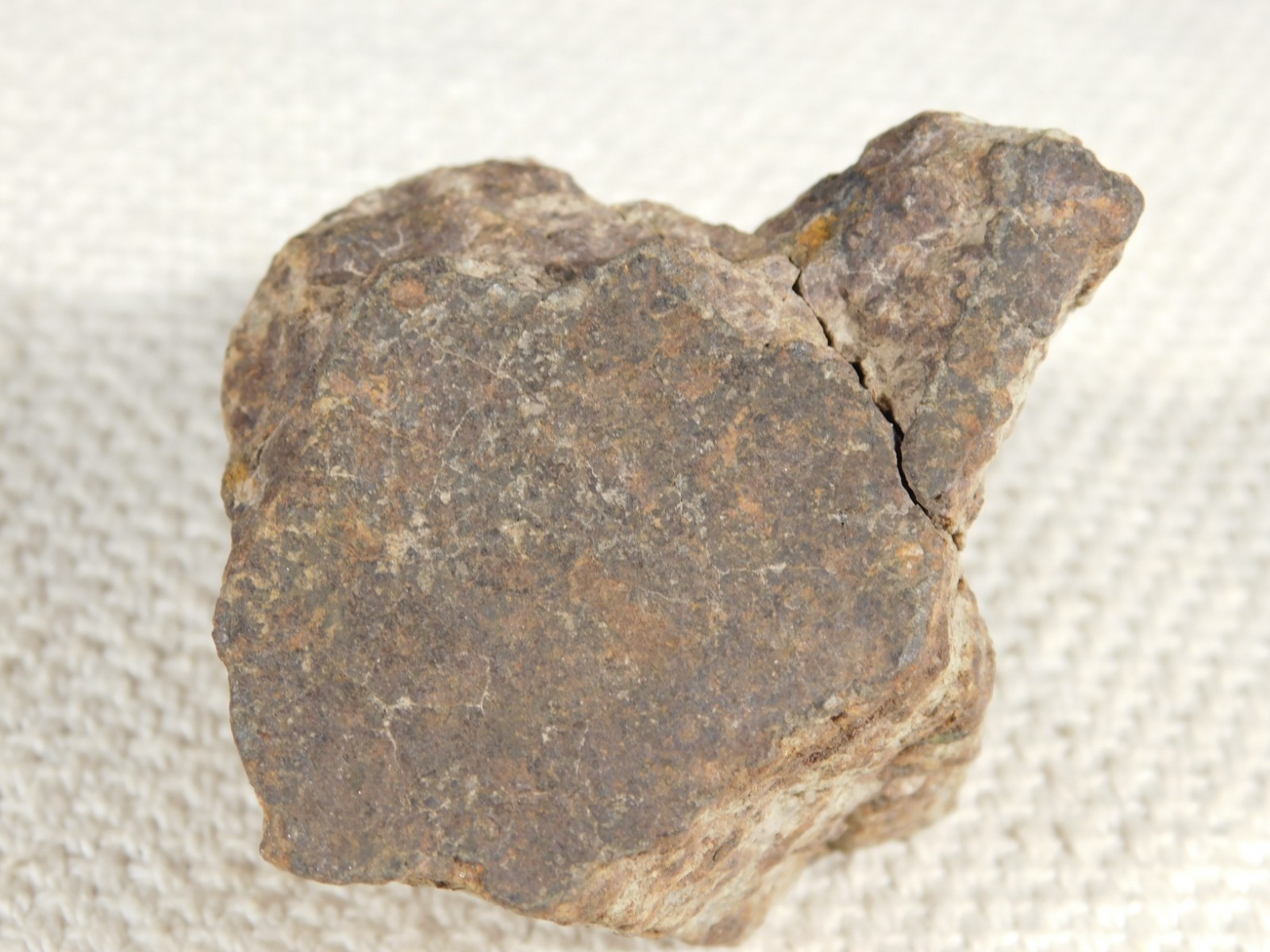 Larger! Classified NWA 8245 METEORITE 100% Natural! Erfoud, Morocco 223gr